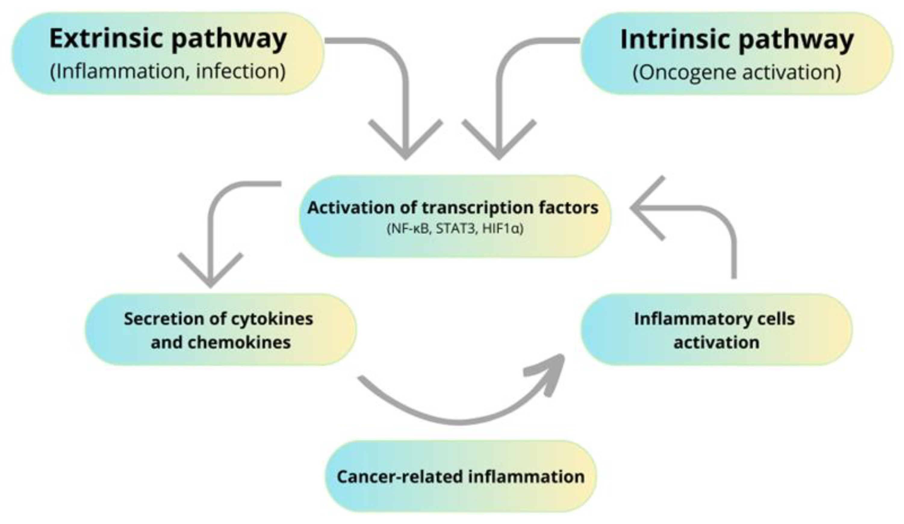 Molecules 28 05081 g001