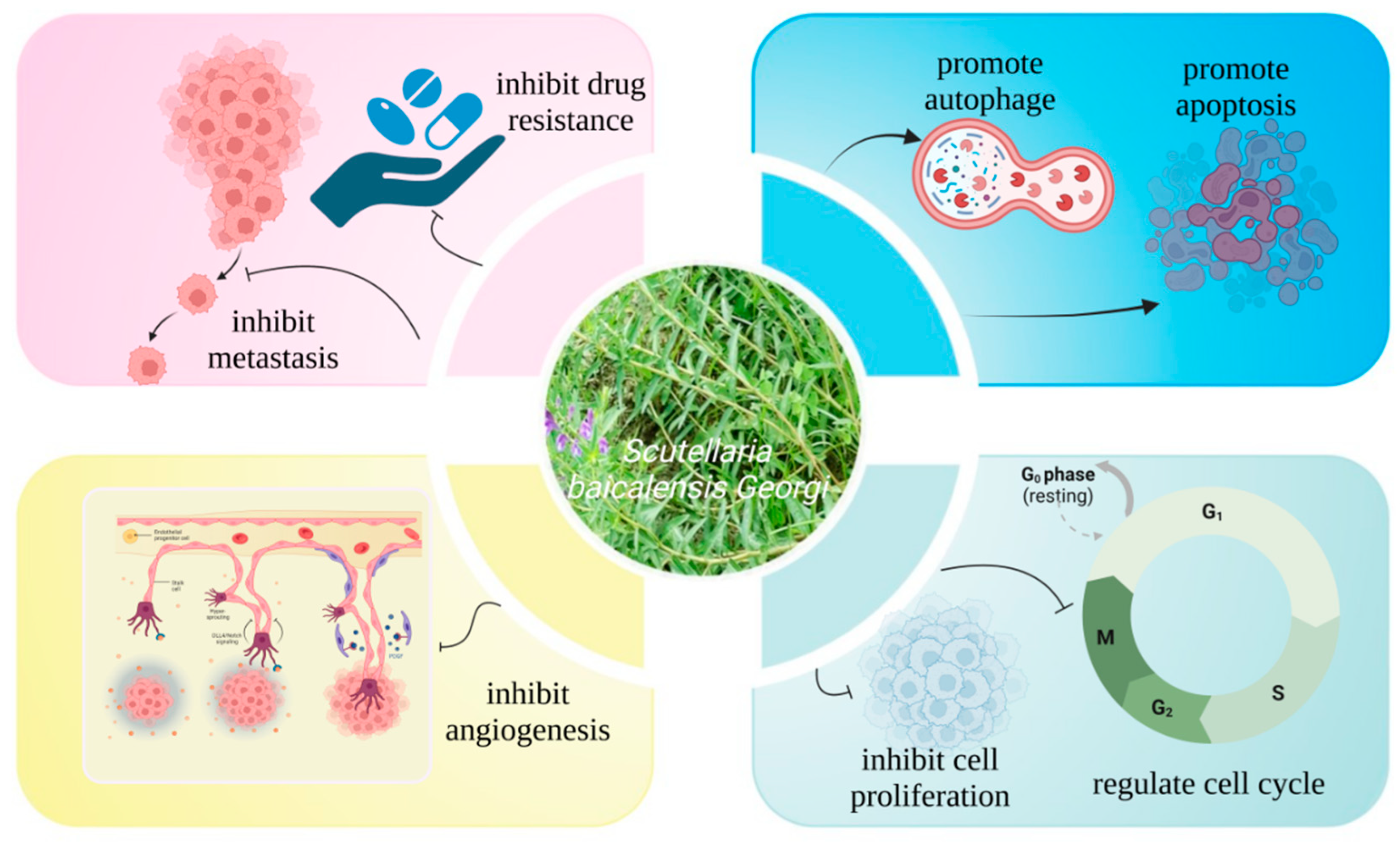 Molecules 28 05082 g001