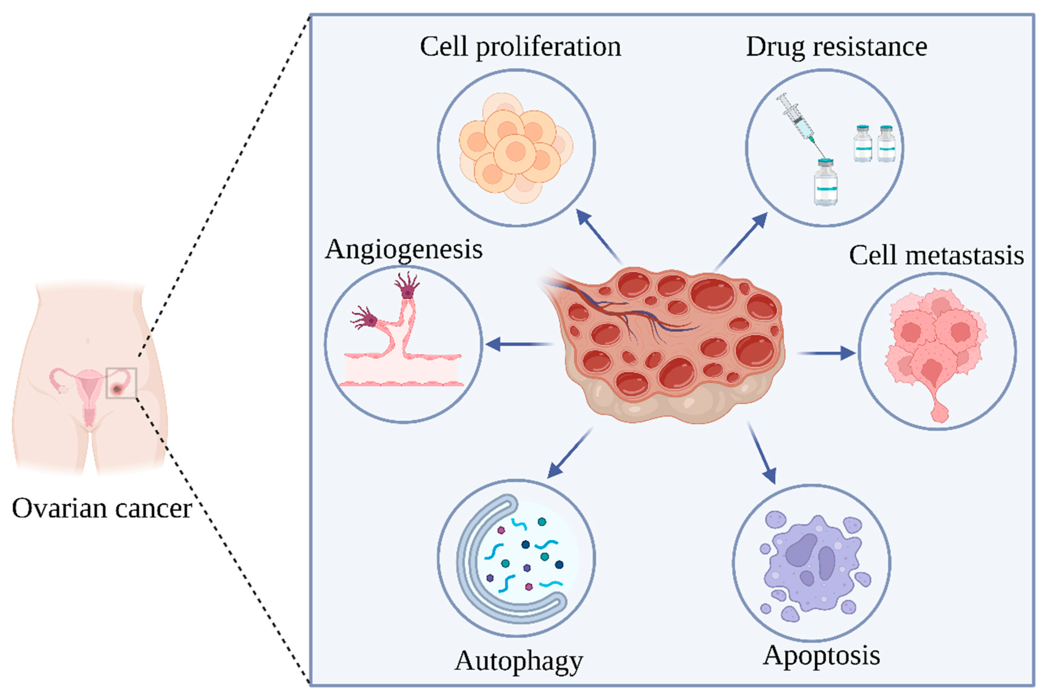 Molecules 28 05082 g002