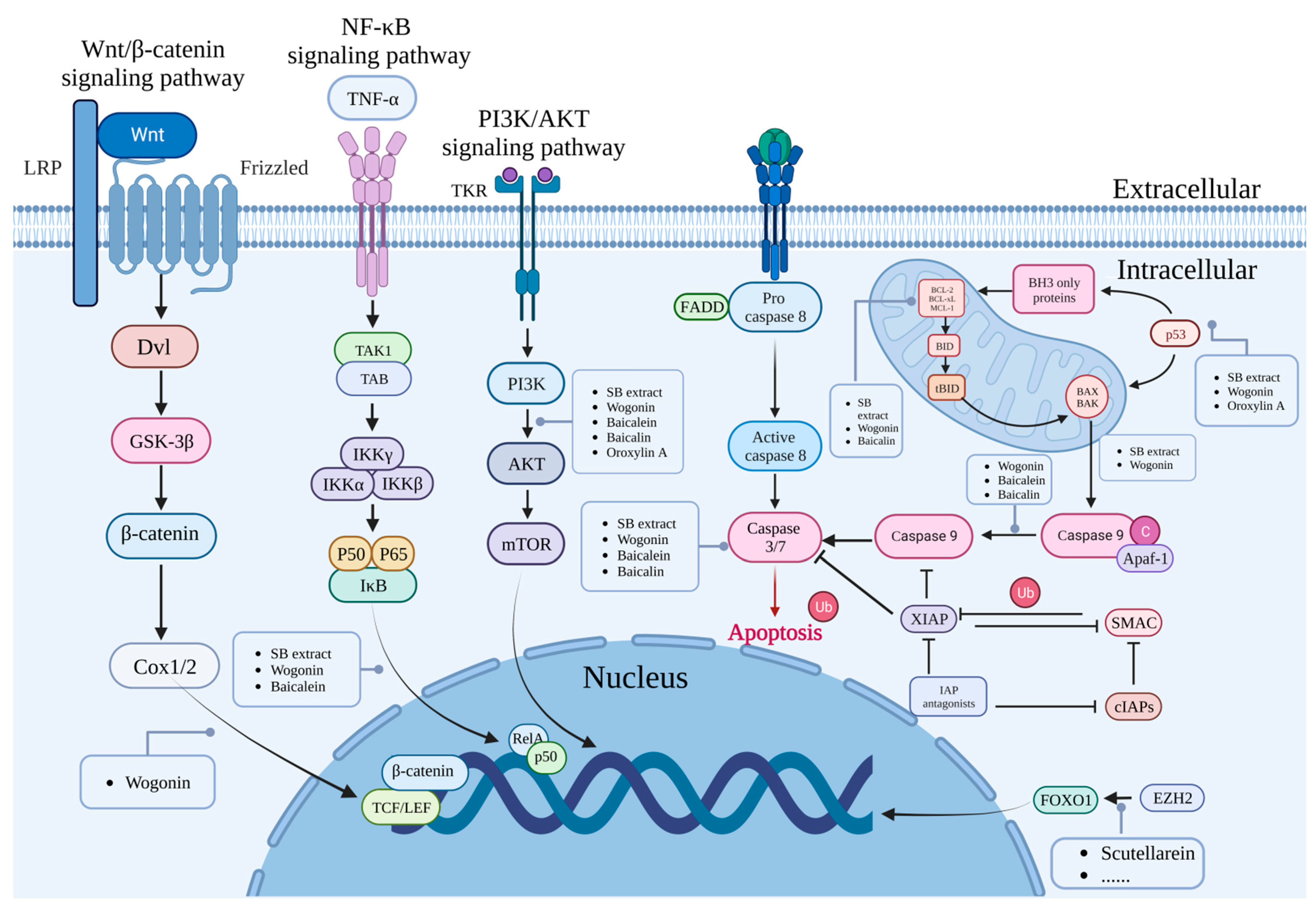 Molecules 28 05082 g003