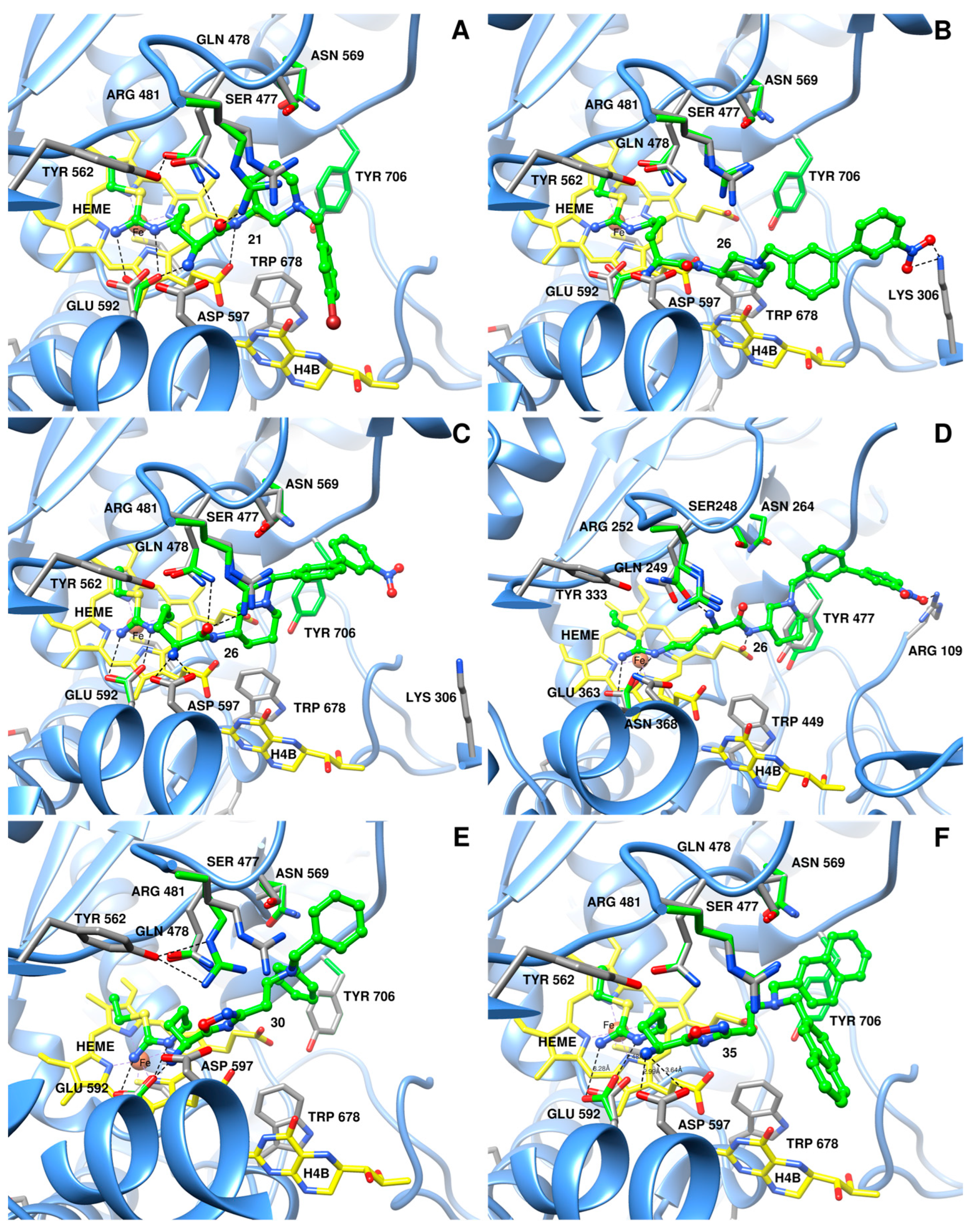 Molecules 28 05085 g004