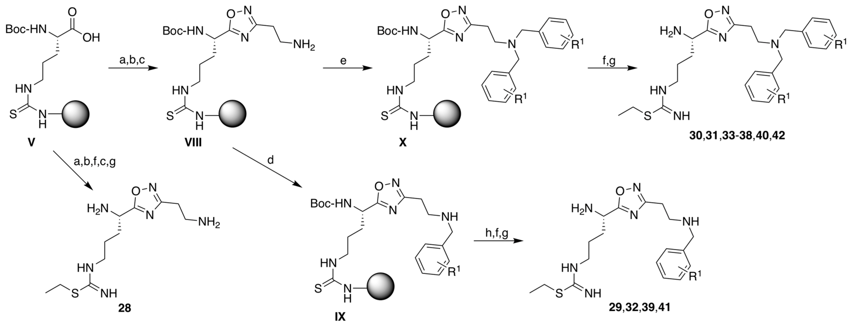 Molecules 28 05085 sch003