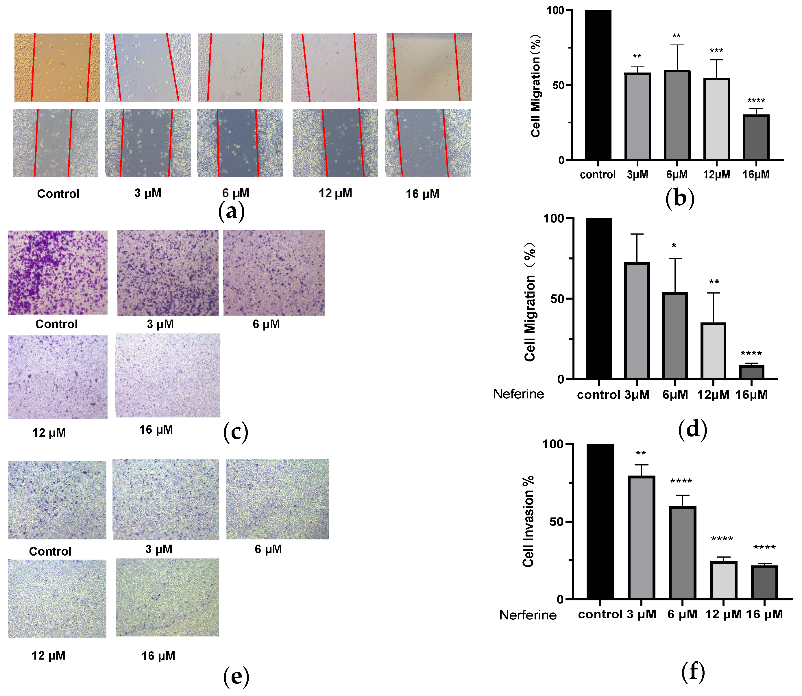 Molecules 28 05086 g004