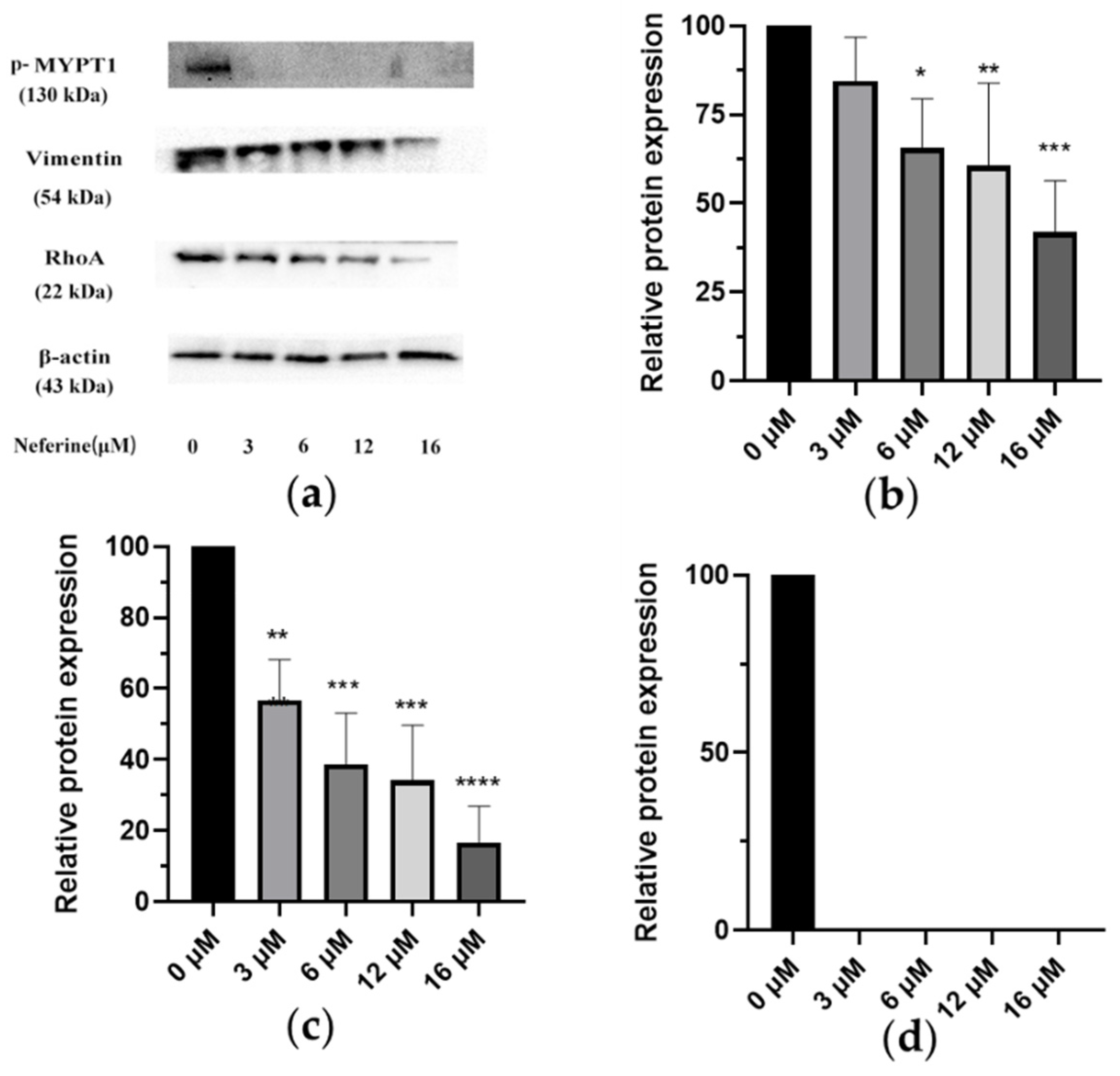 Molecules 28 05086 g005