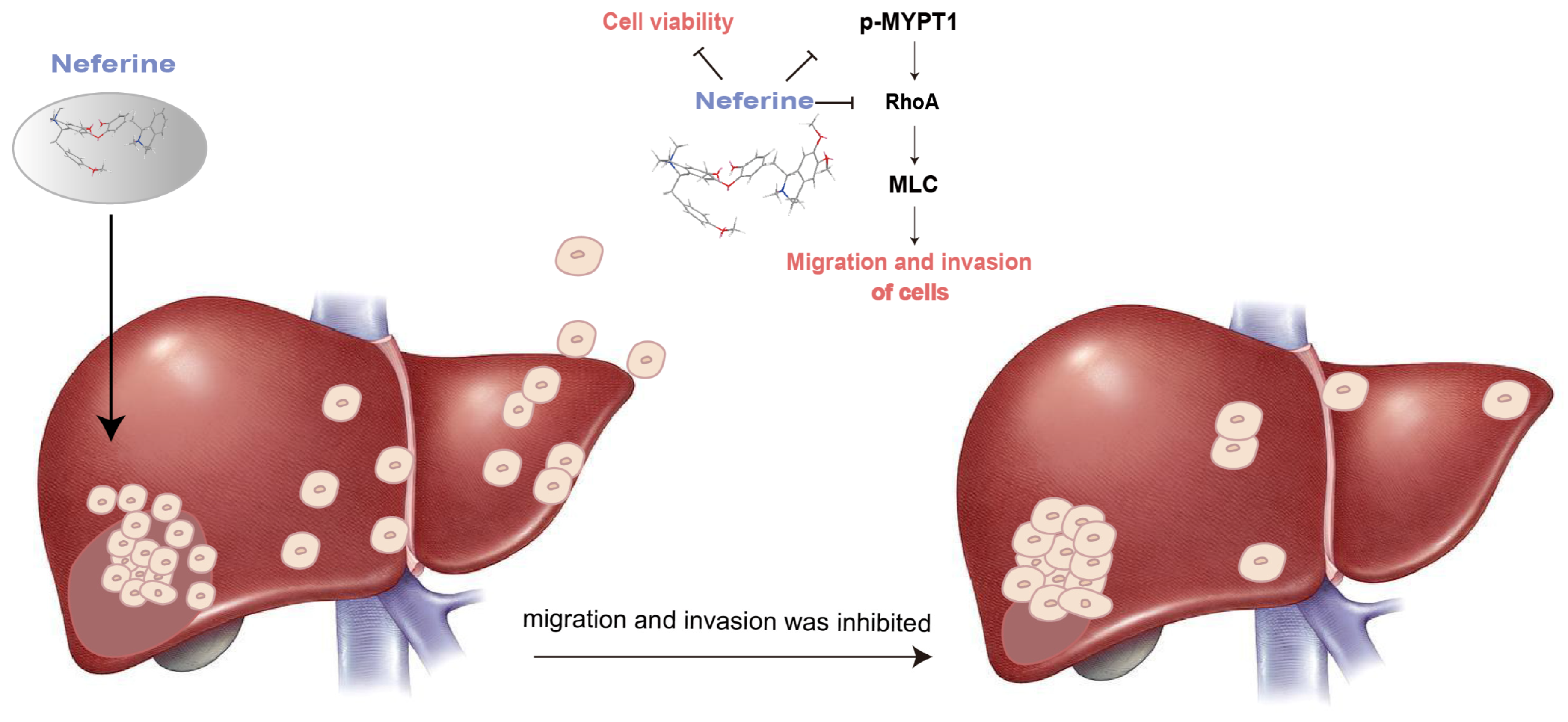 Molecules 28 05086 g006