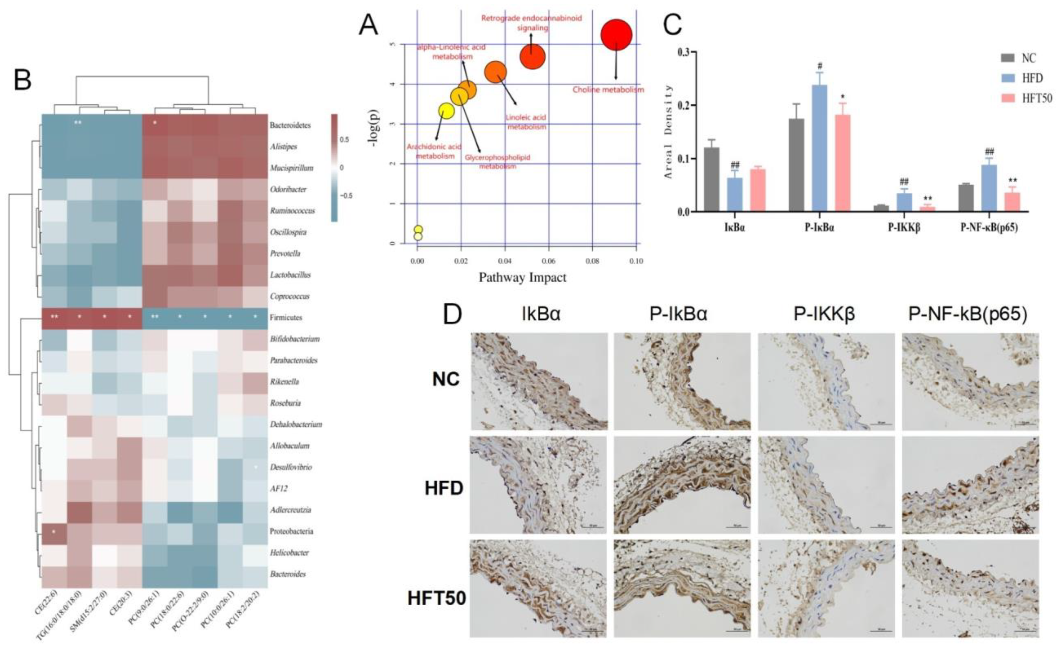 Molecules 28 05088 g006