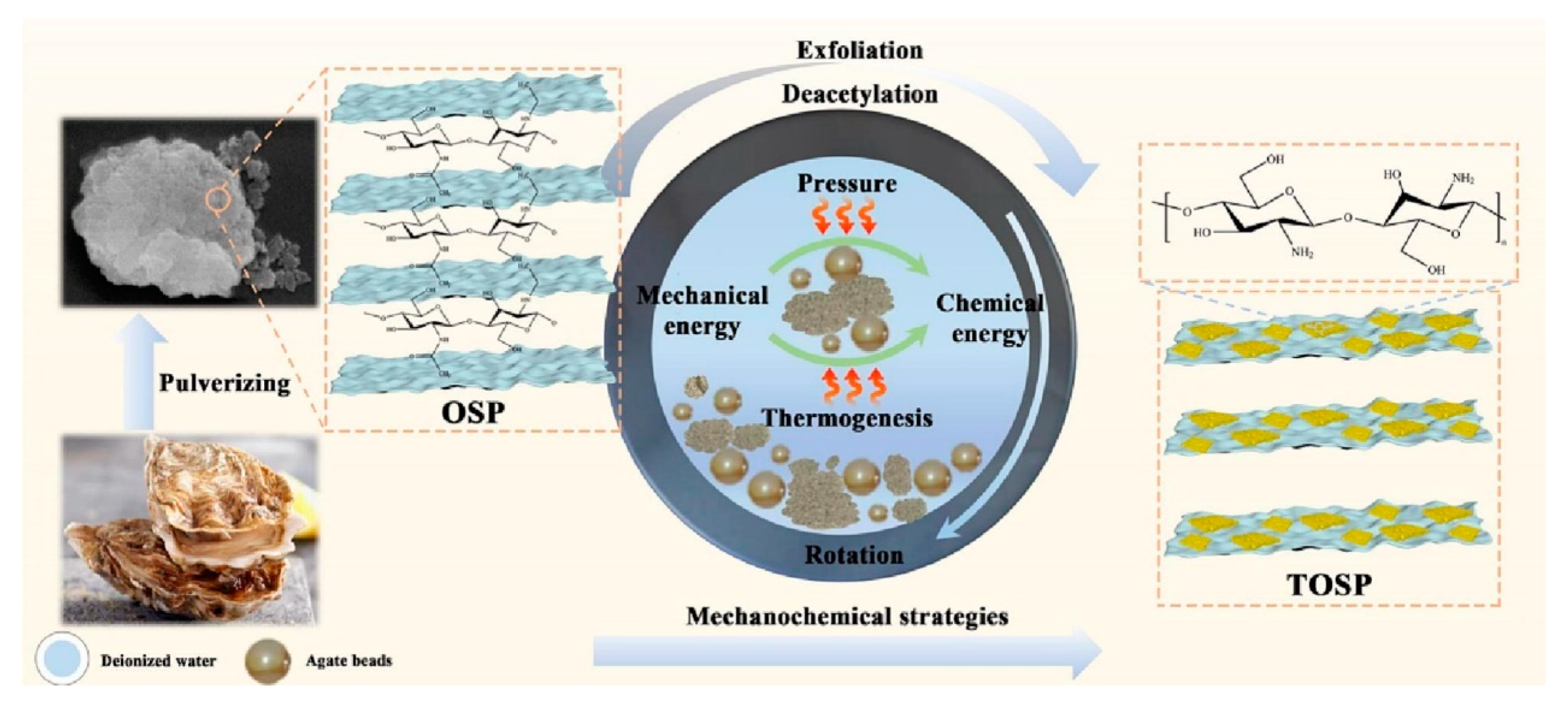 Molecules 28 05090 g006