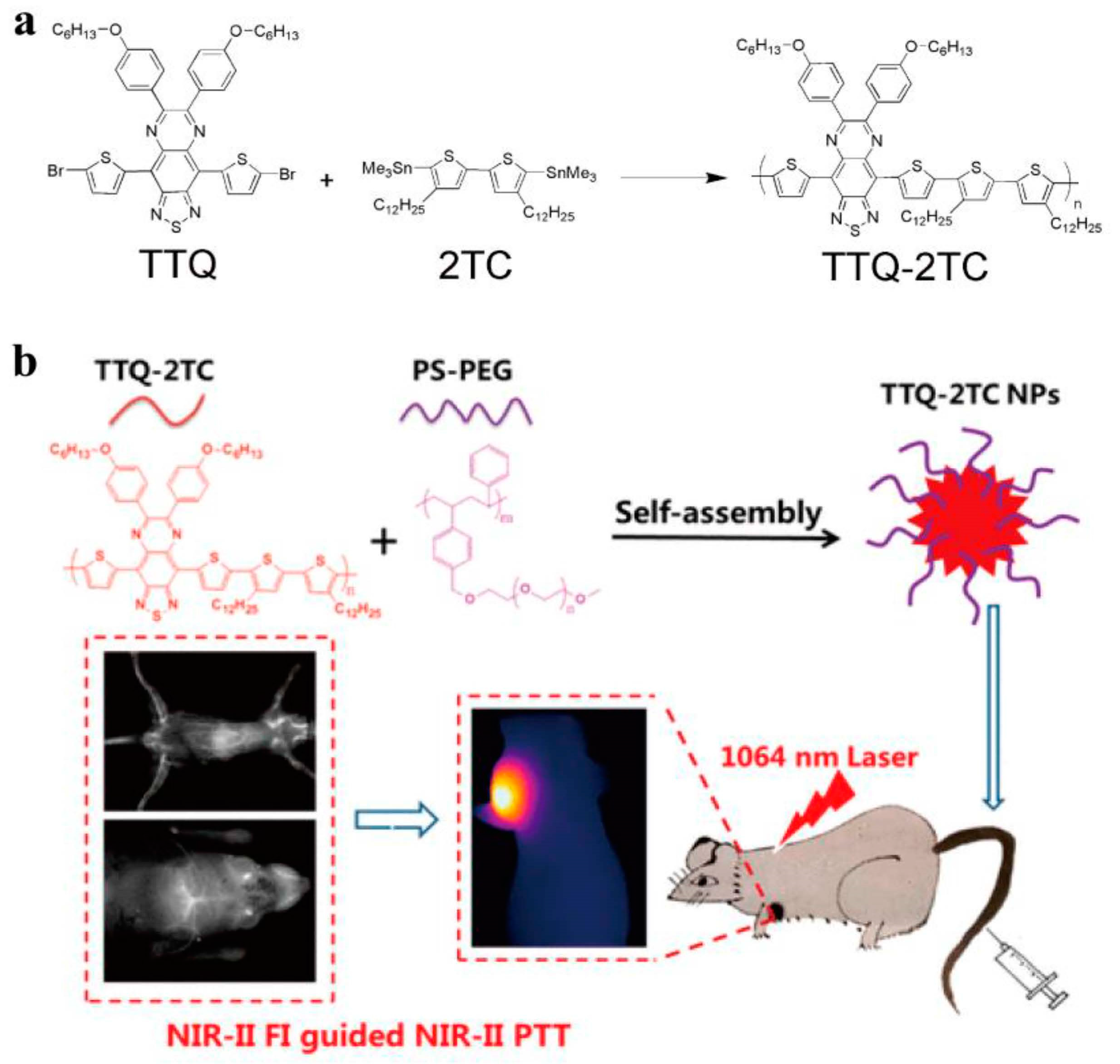 Molecules 28 05091 g002