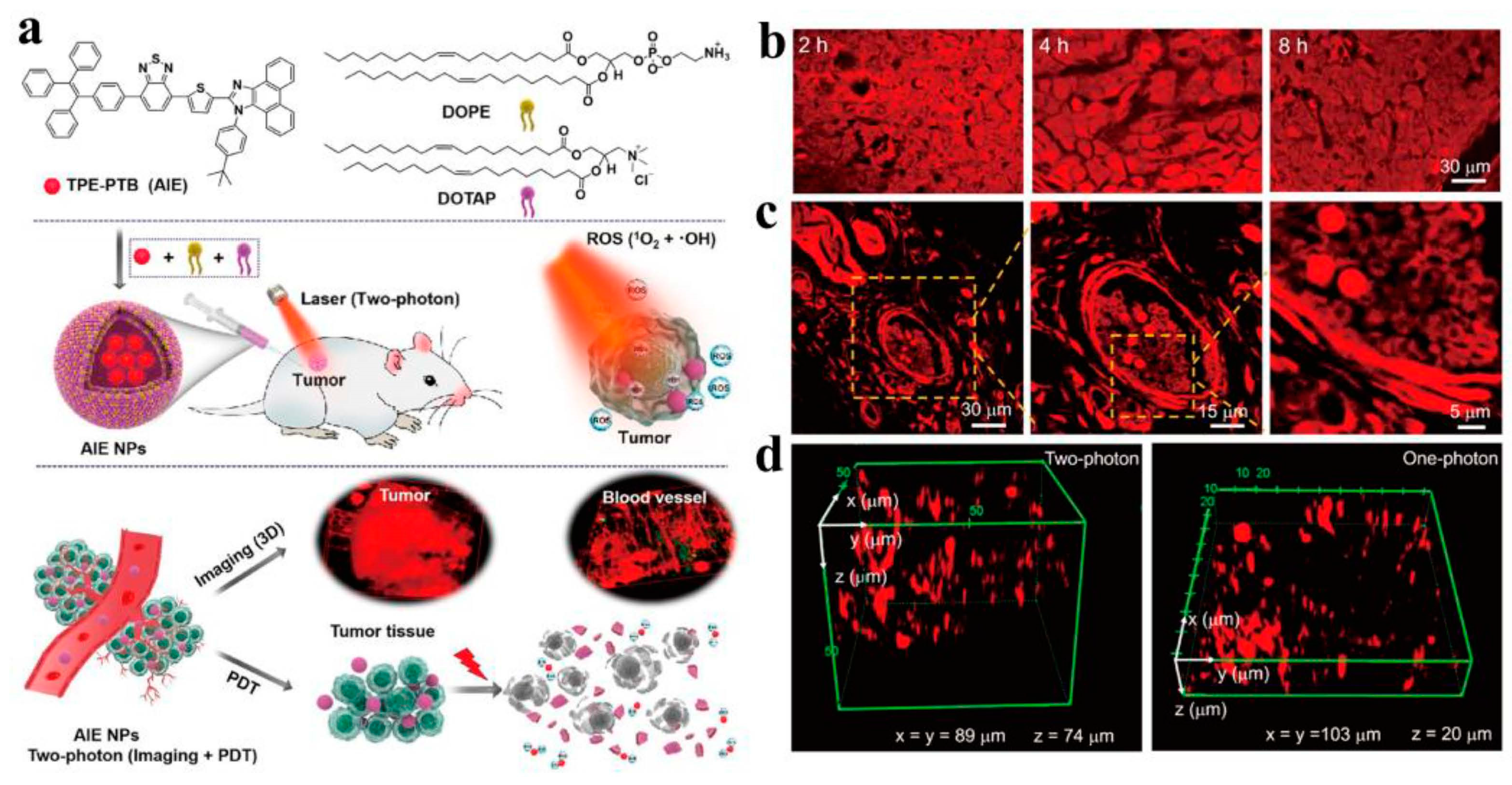 Molecules 28 05091 g003