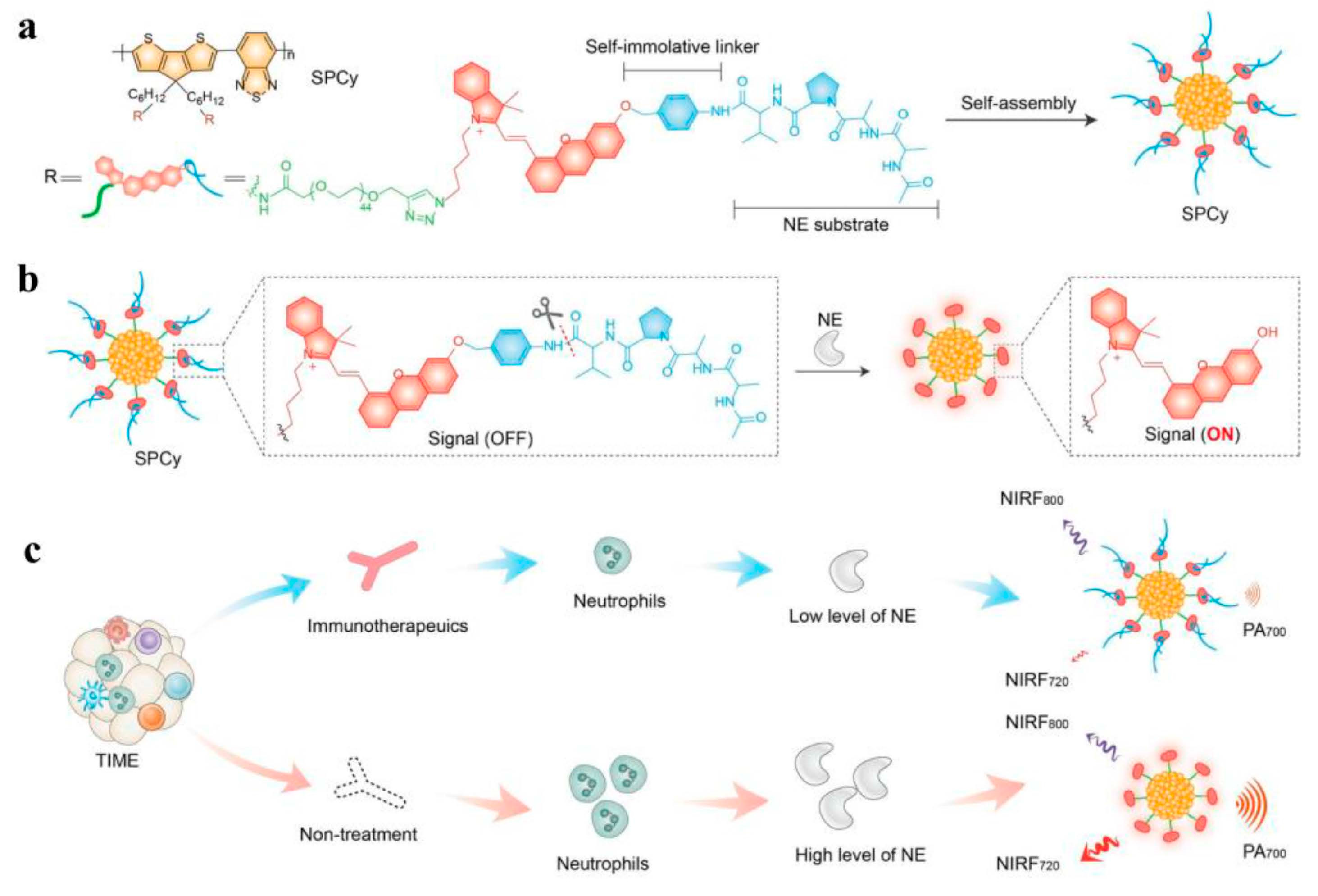 Molecules 28 05091 g006