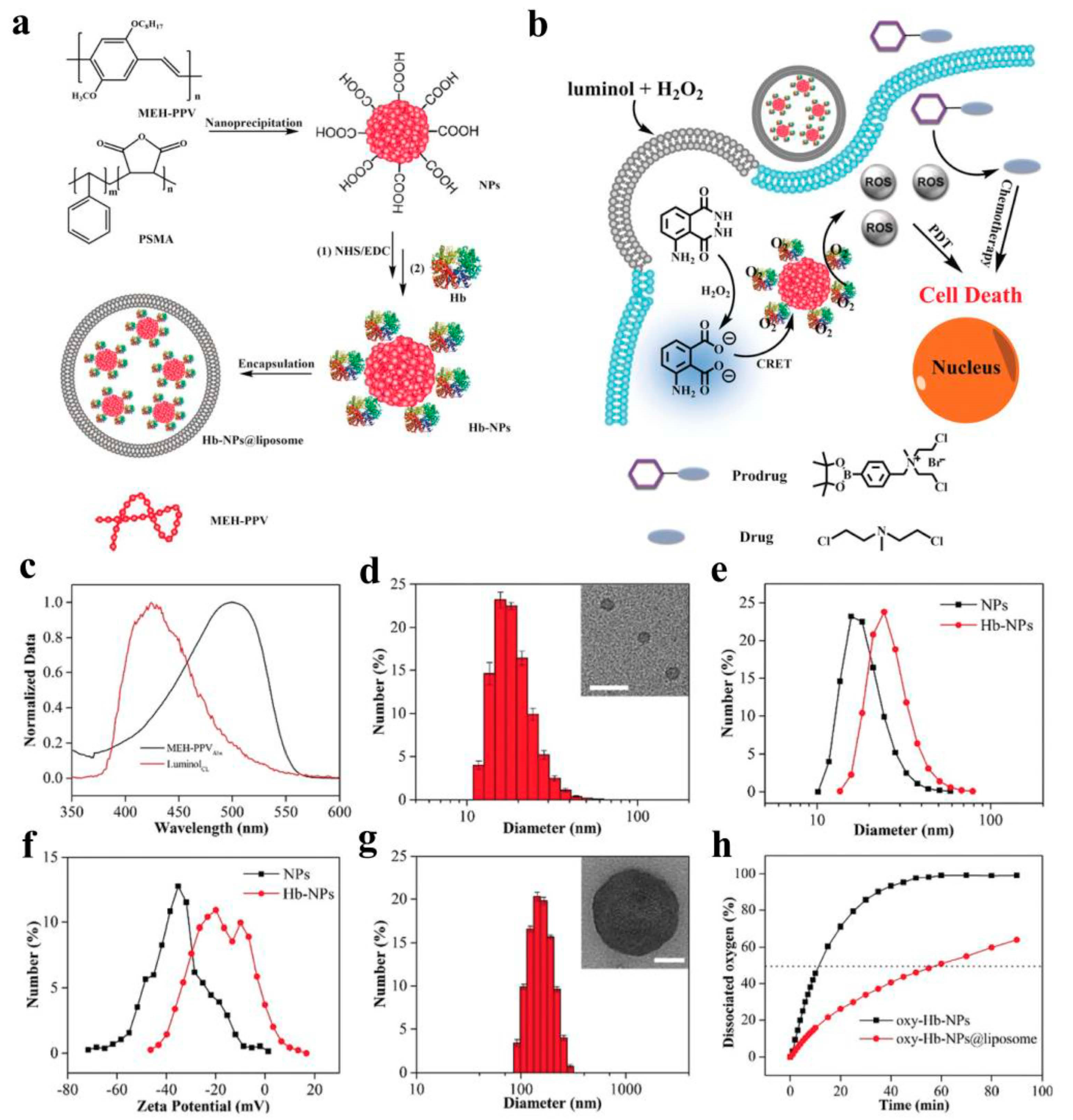 Molecules 28 05091 g009