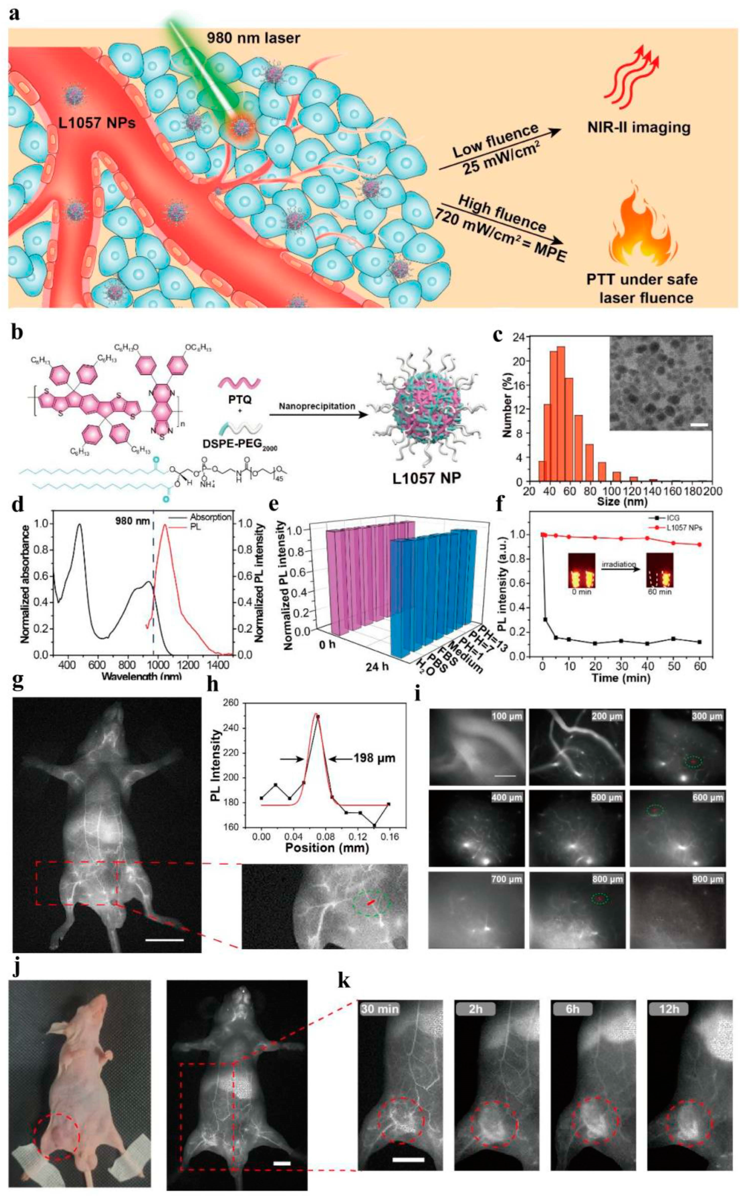 Molecules 28 05091 g010