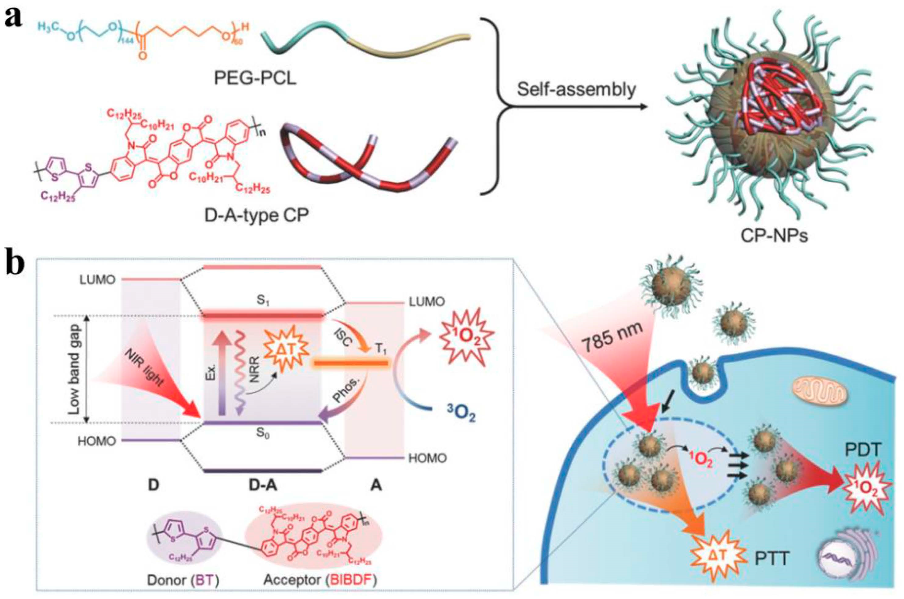 Molecules 28 05091 g011