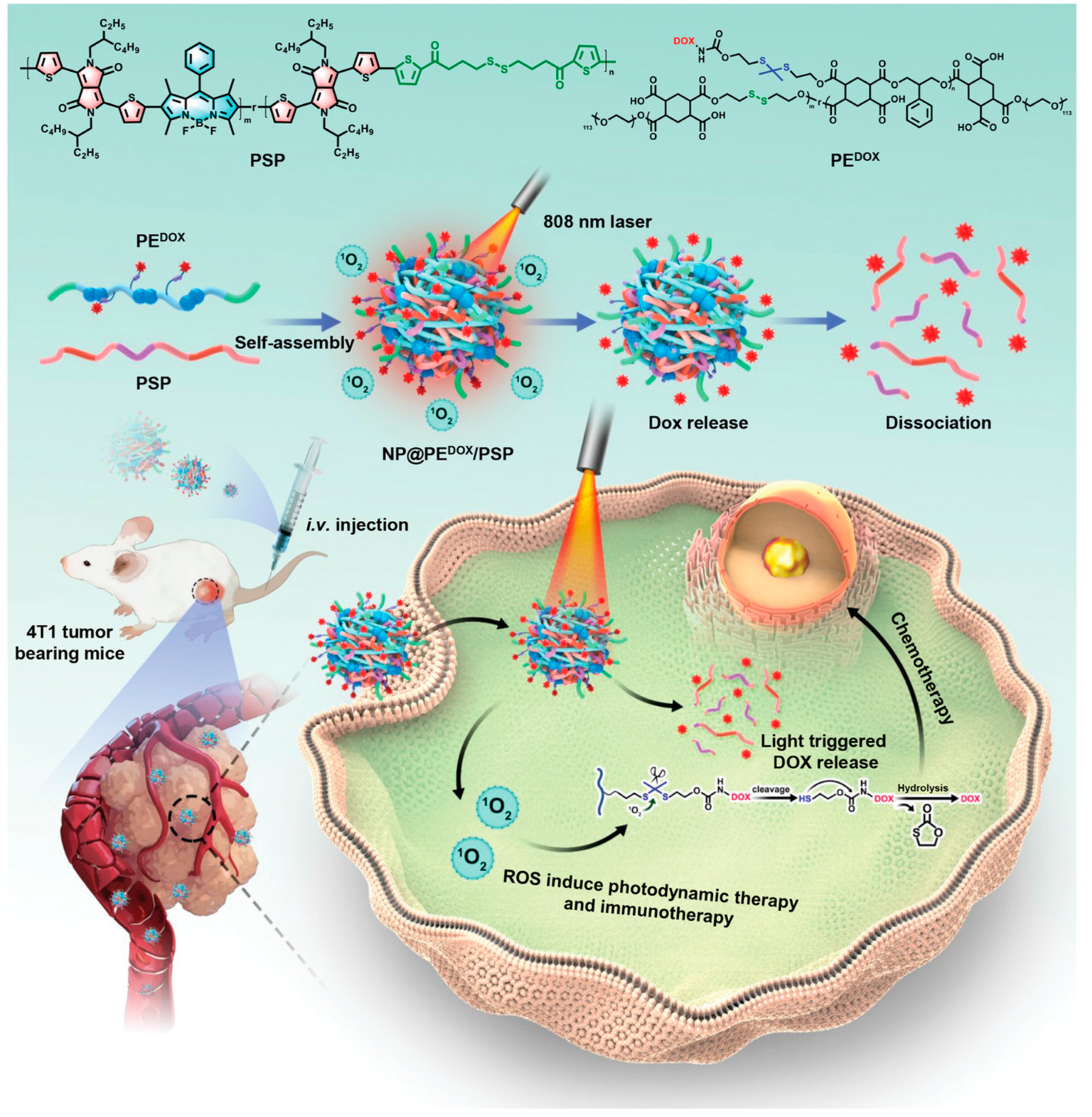 Molecules 28 05091 g012