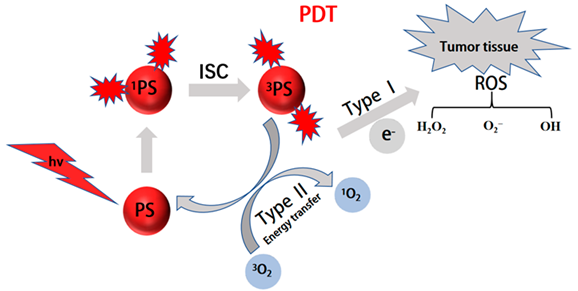Molecules 28 05091 i002 Molecules 28 05091 i002