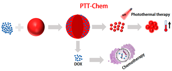 Molecules 28 05091 i004 Molecules 28 05091 i004