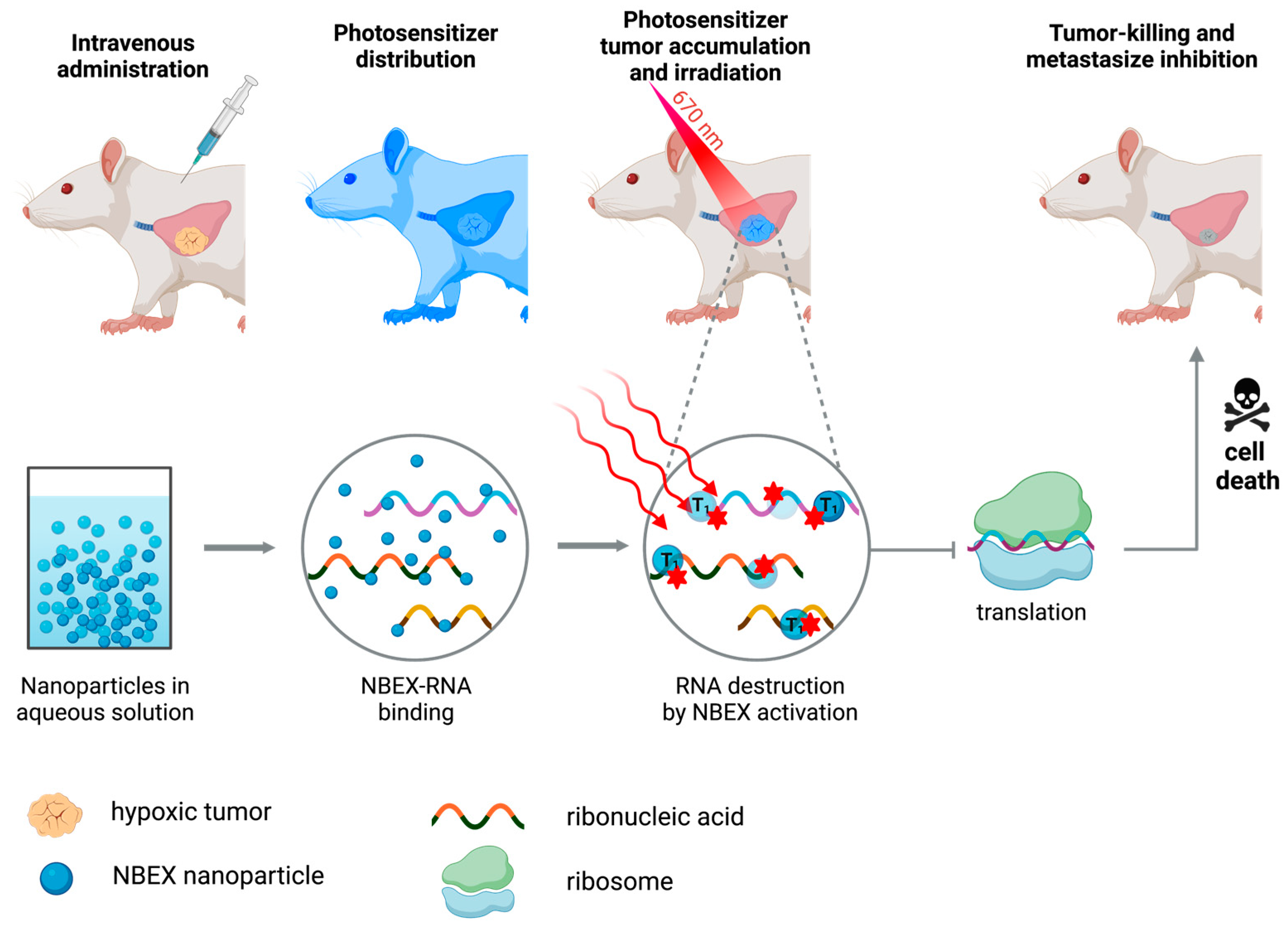 Molecules 28 05092 g004