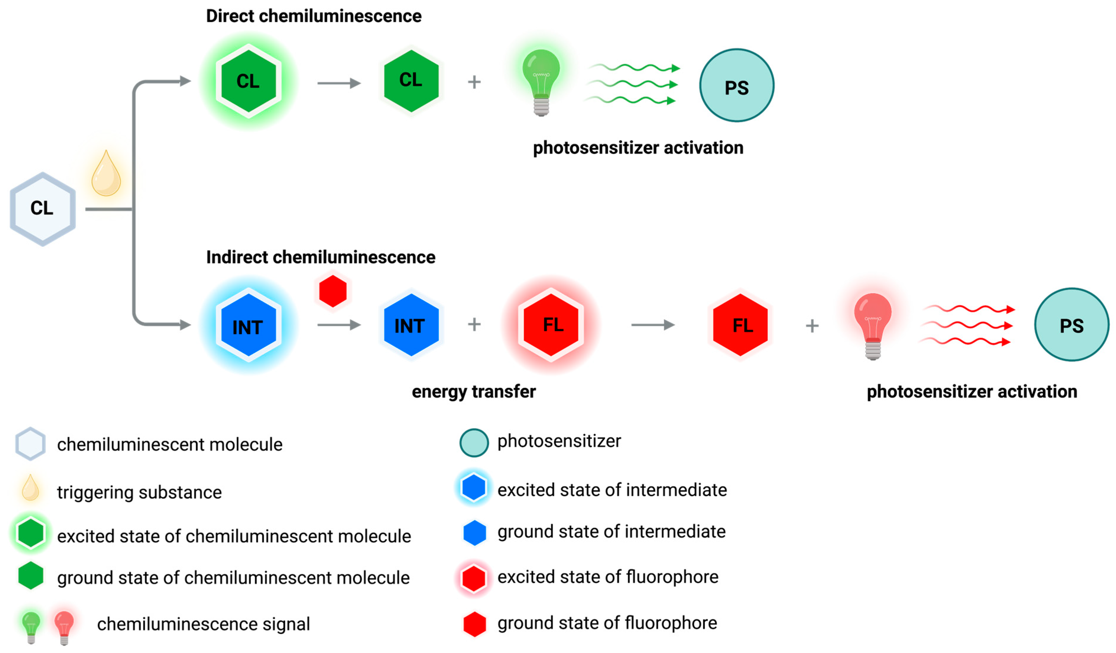 Molecules 28 05092 g005