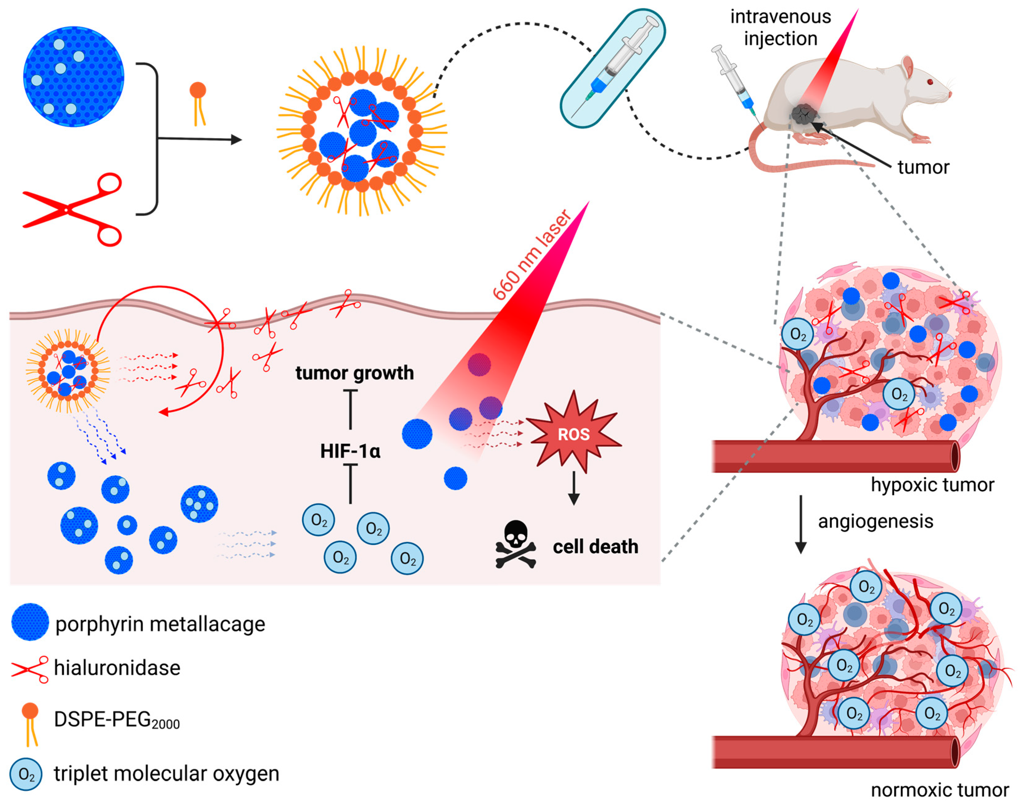Molecules 28 05092 g007