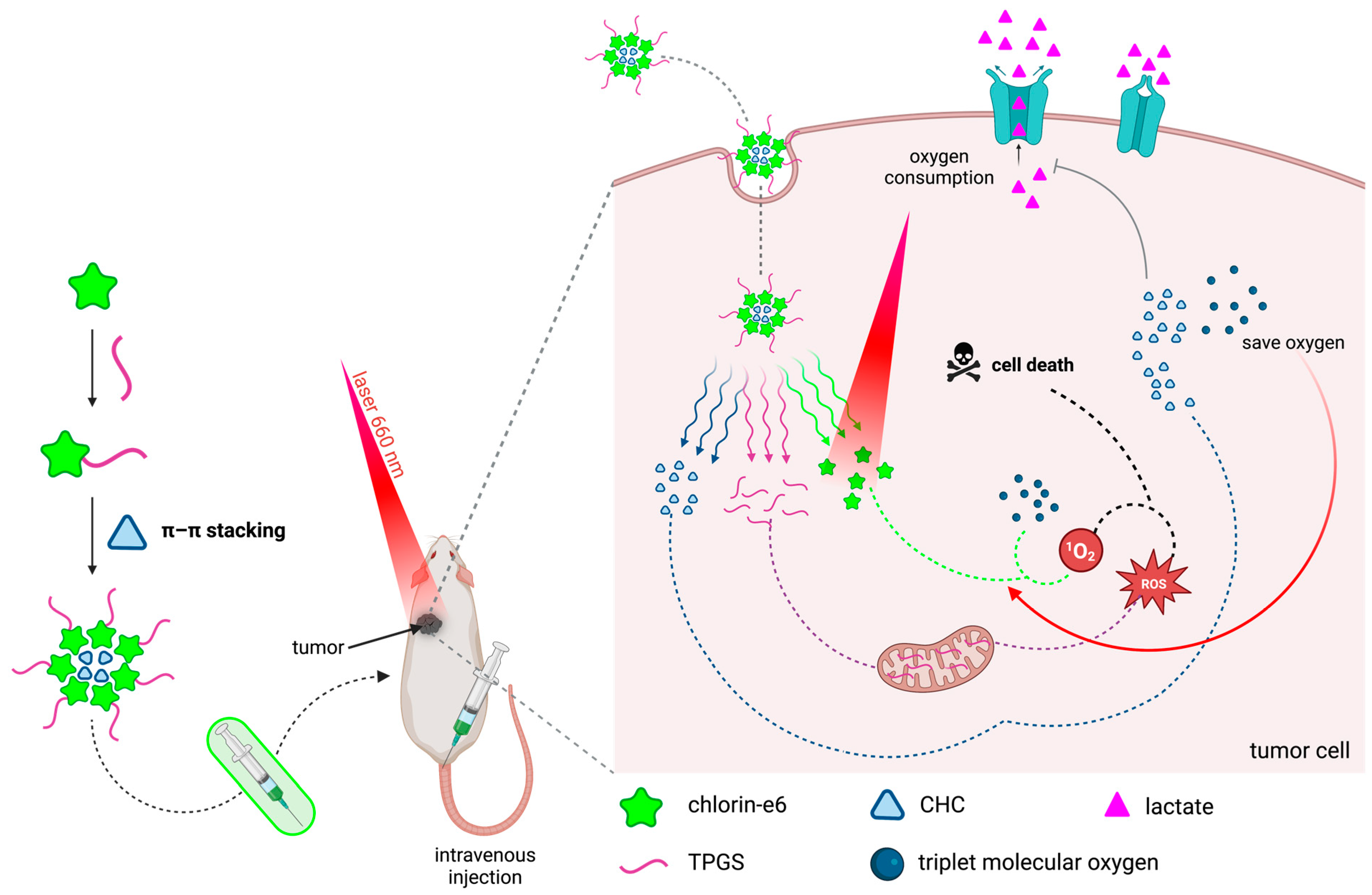 Molecules 28 05092 g008
