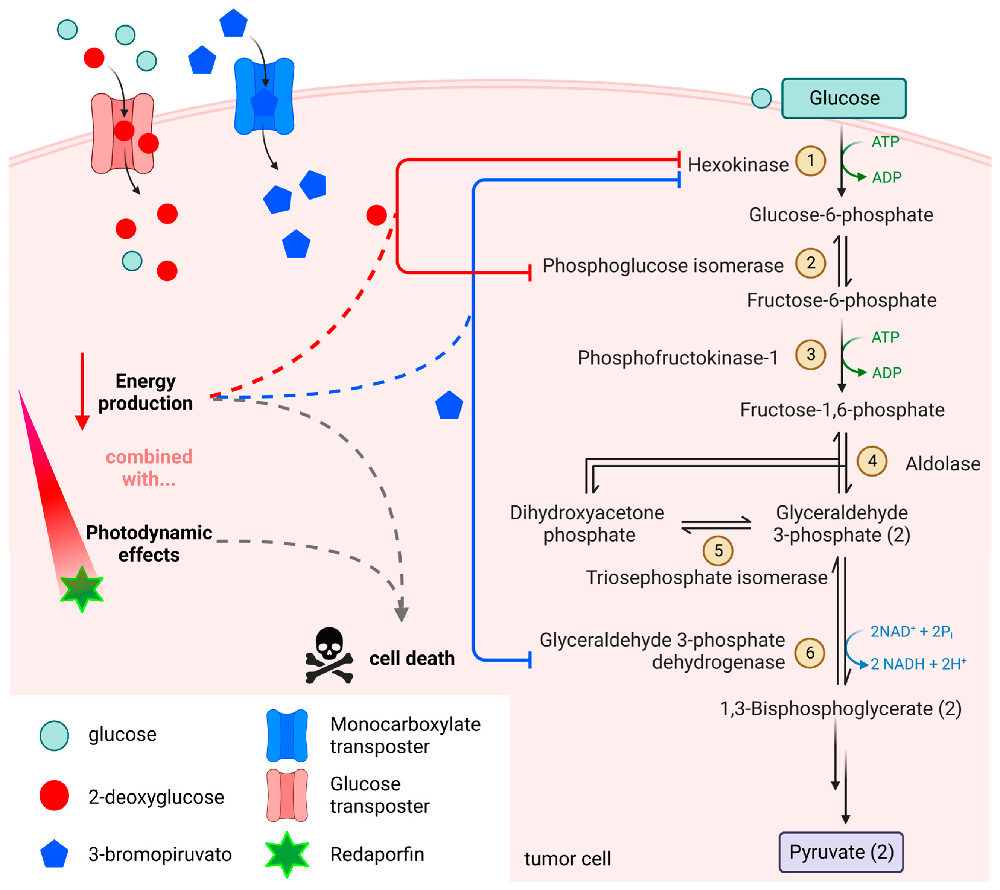 Molecules 28 05092 g009