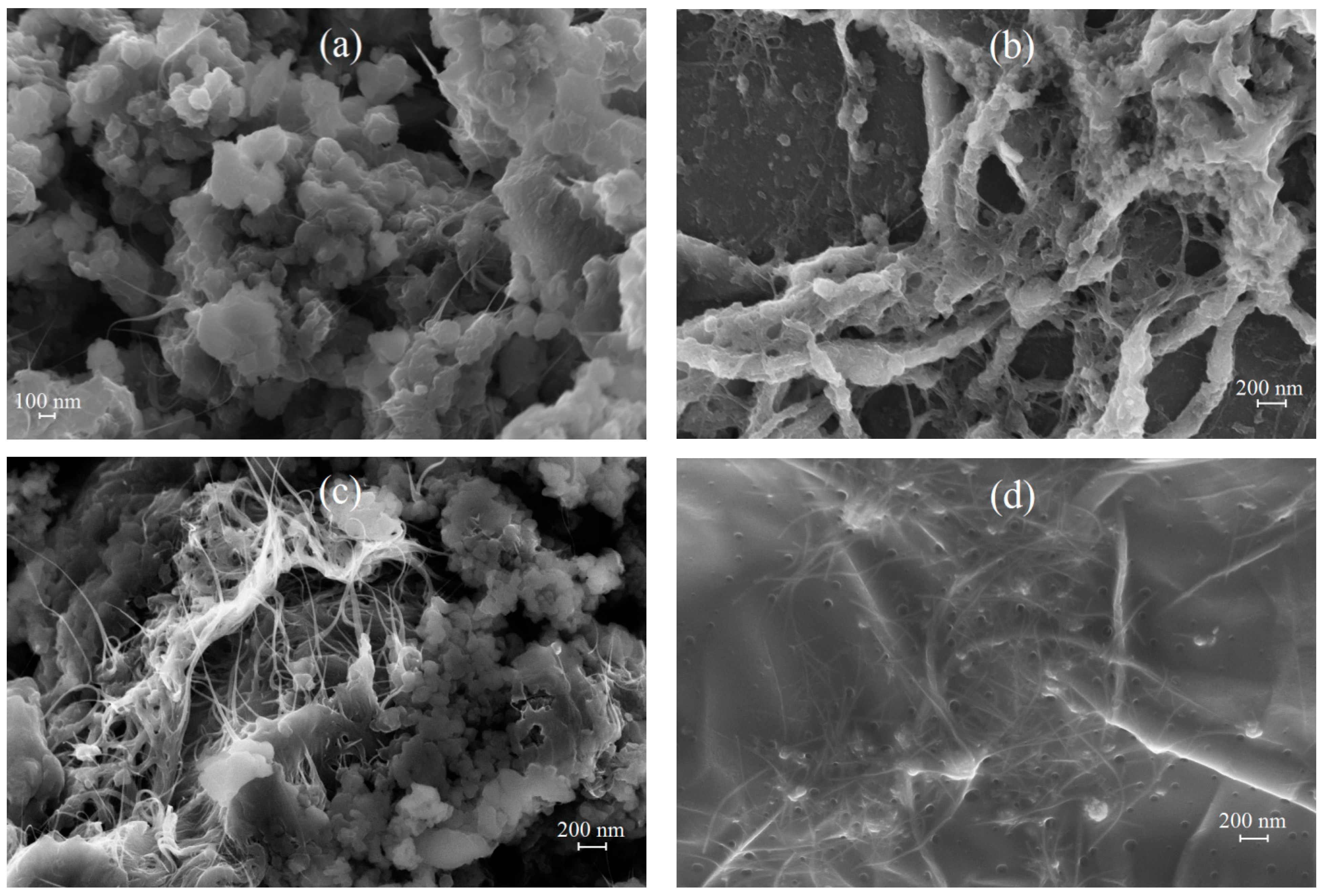 Molecules 28 05093 g005