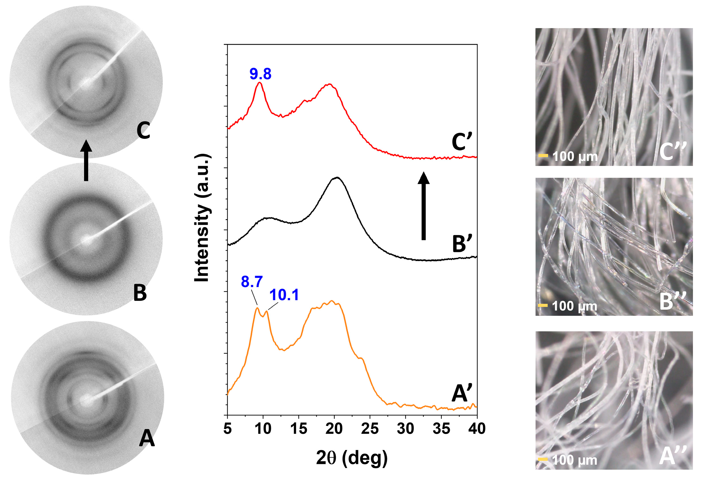 Molecules 28 05095 g005
