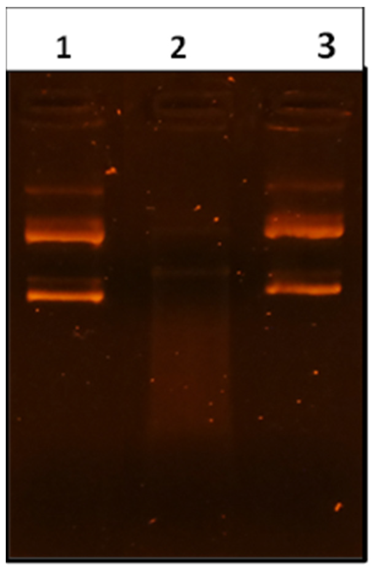 Molecules 28 05096 g001 Molecules 28 05096 g001