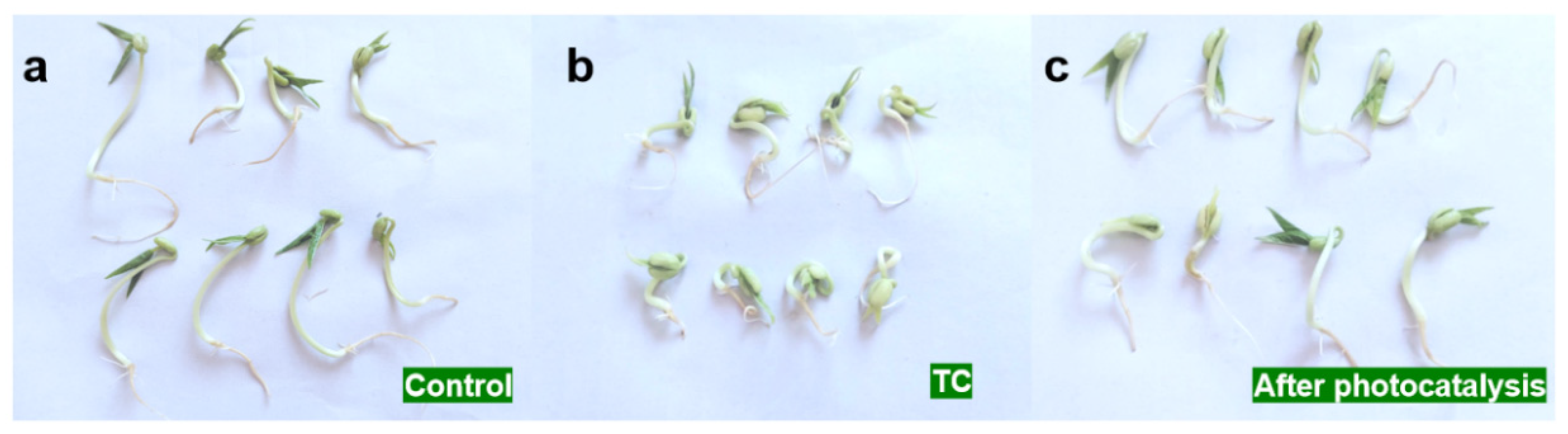 Molecules 28 05098 g009