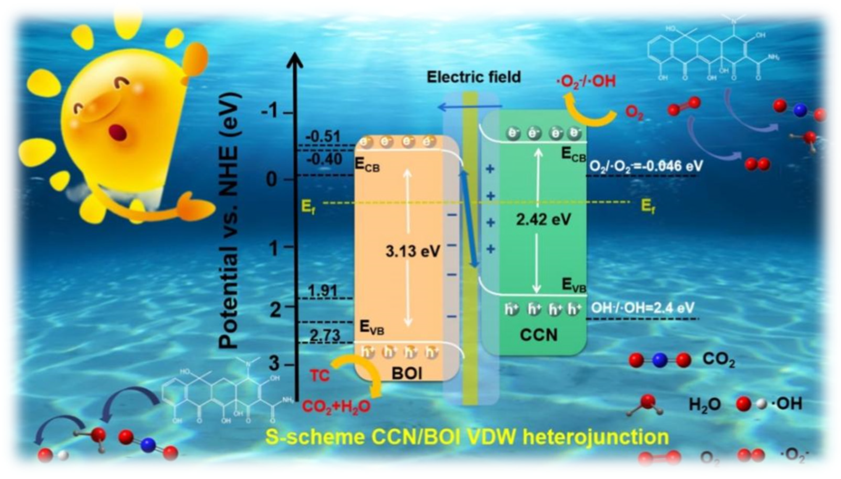 Molecules 28 05098 g010