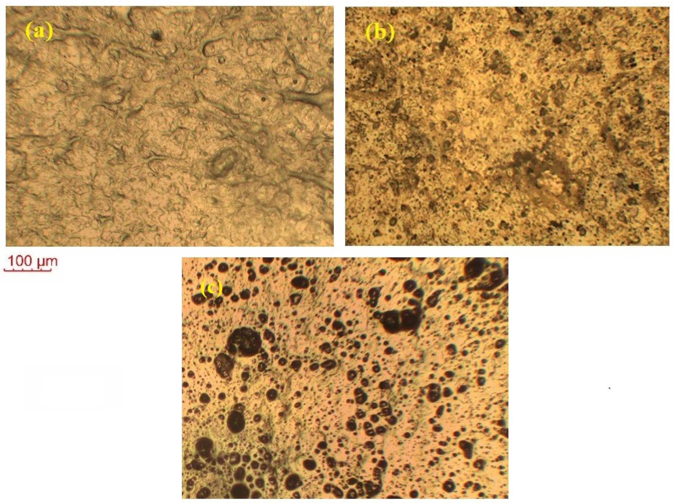 Molecules 28 05099 g006 Molecules 28 05099 g006