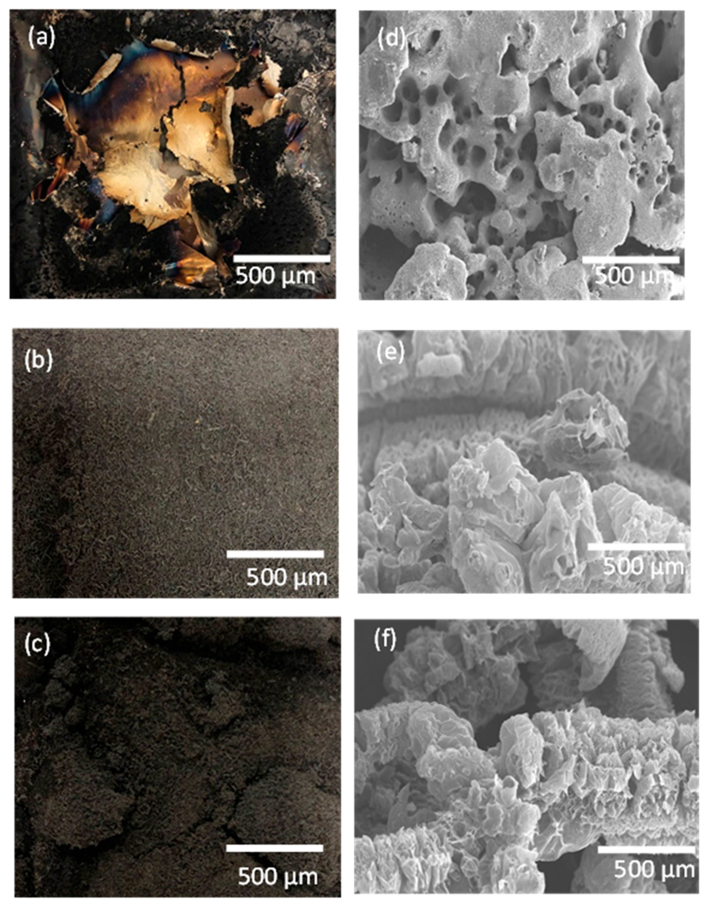 Molecules 28 05100 g009