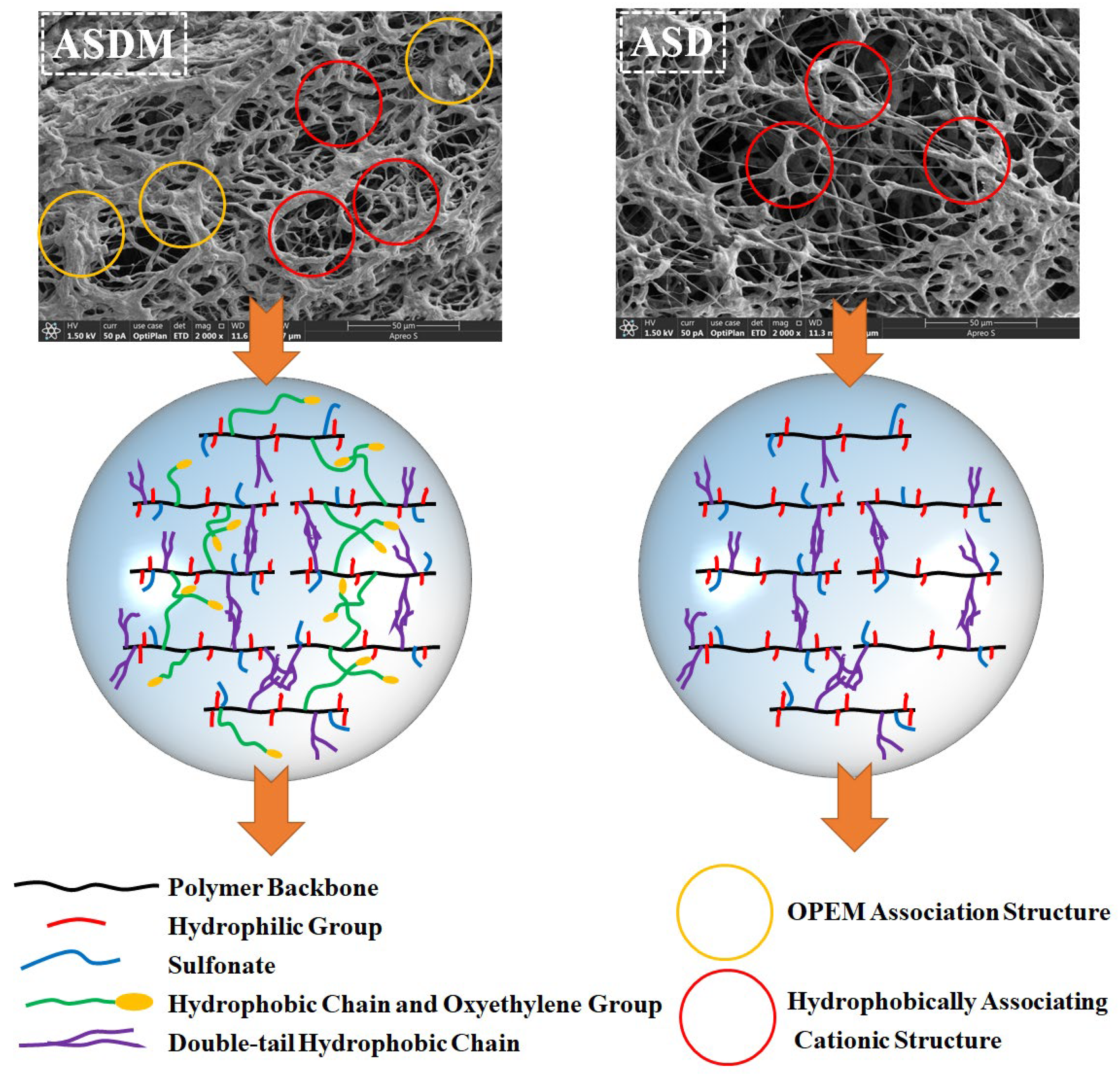 Molecules 28 05104 g011