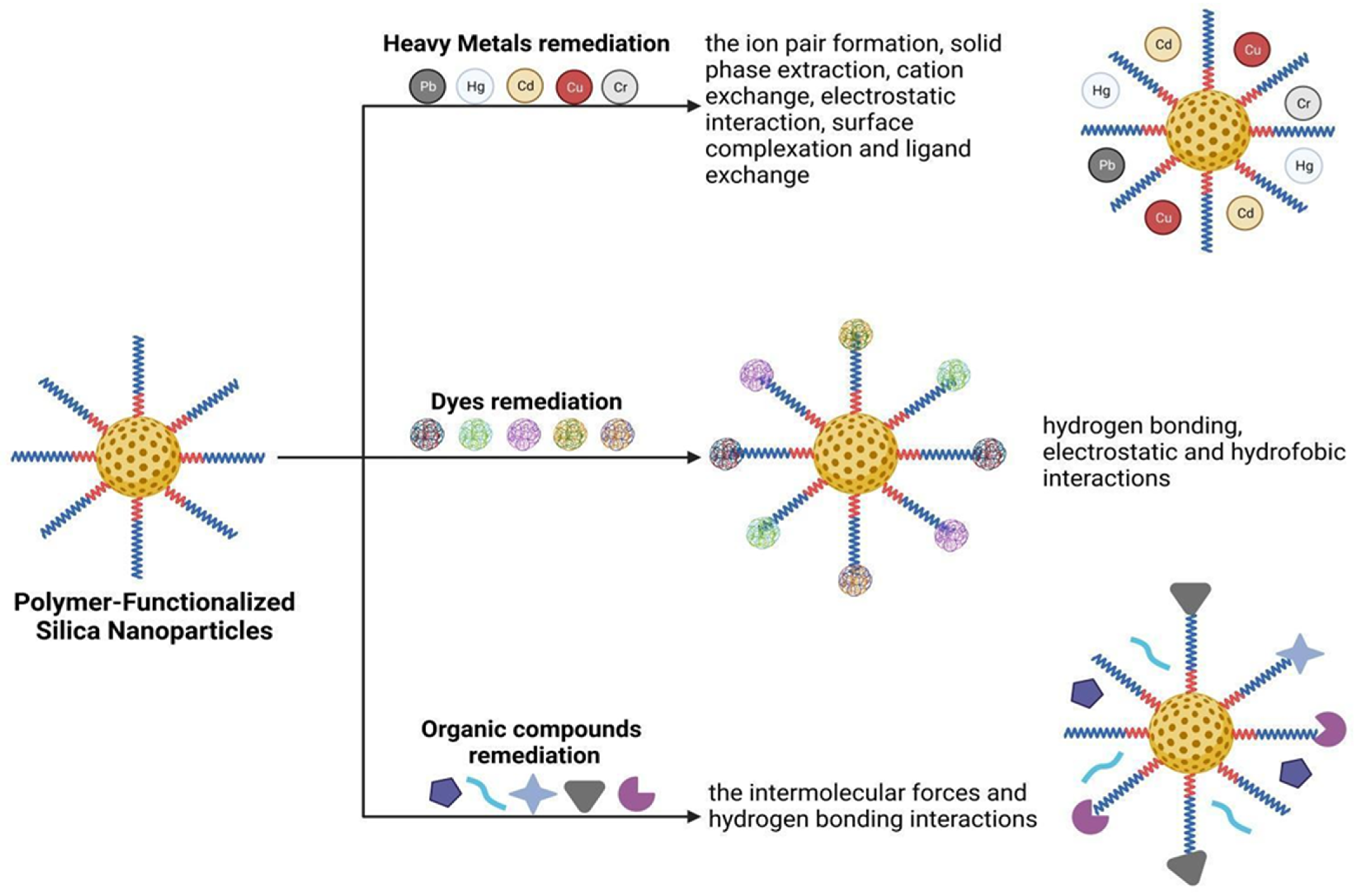 Molecules 28 05105 g001