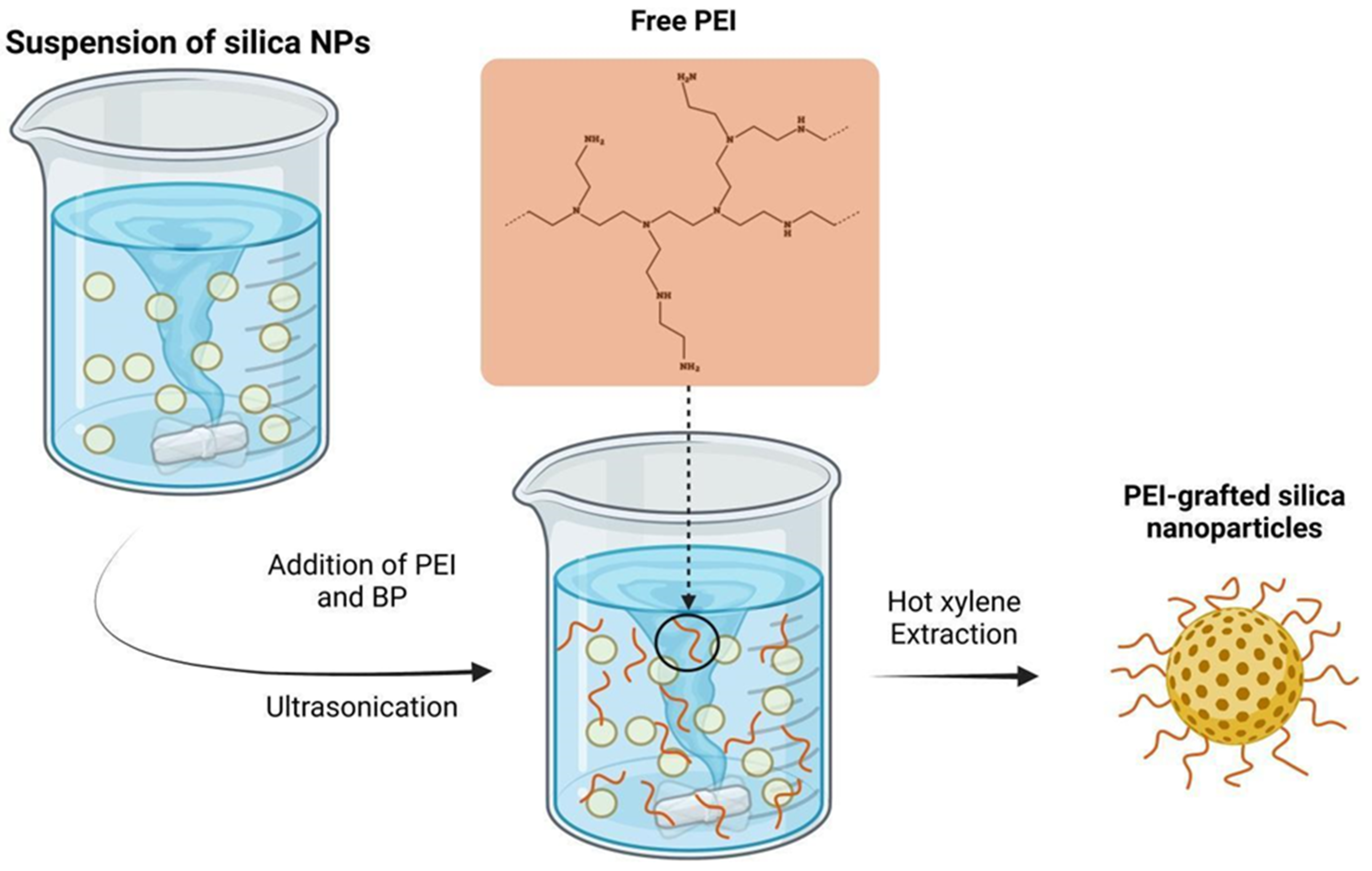 Molecules 28 05105 g004
