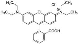 Molecules 28 05105 i010