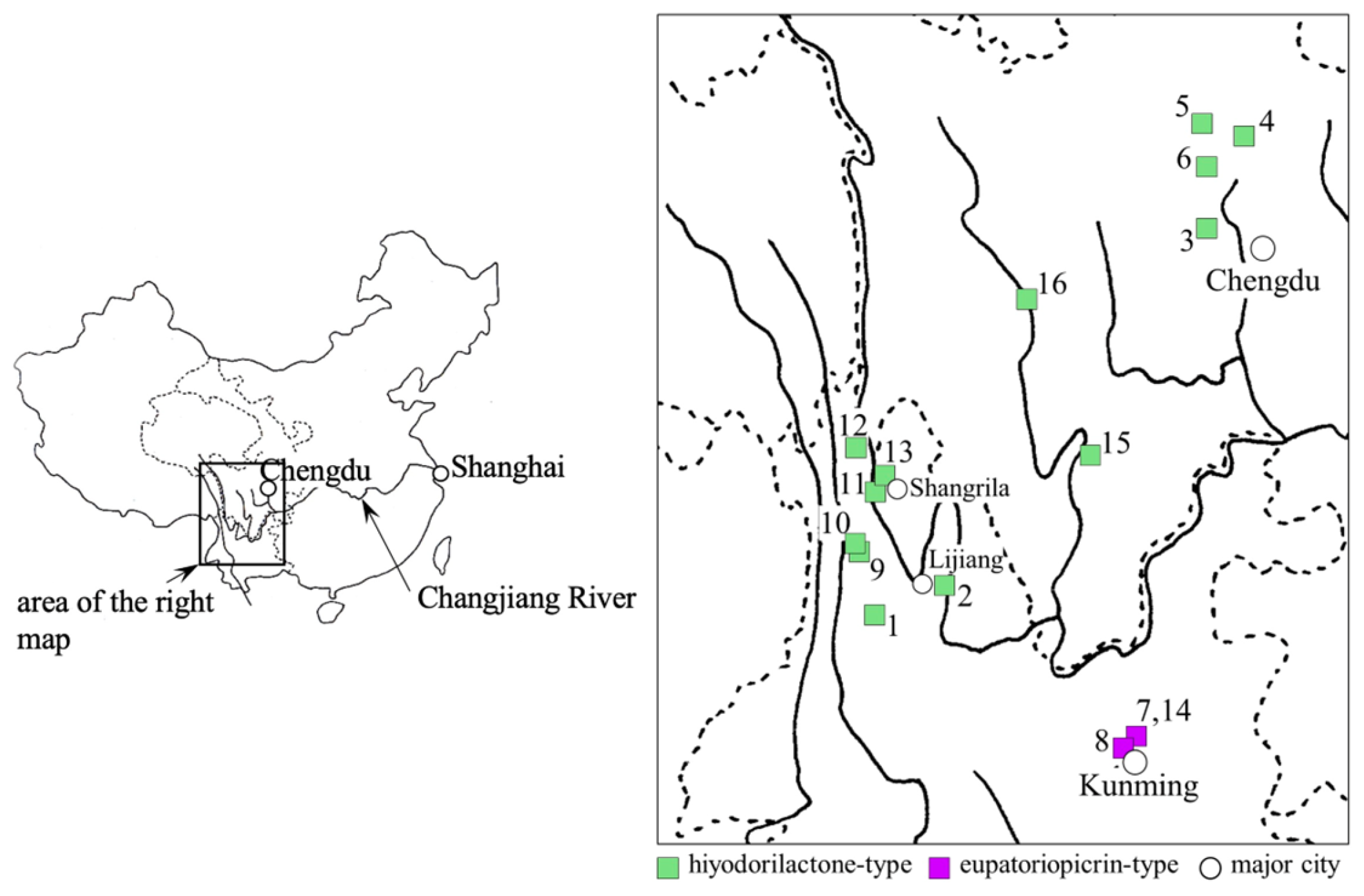 Molecules 28 05107 g001