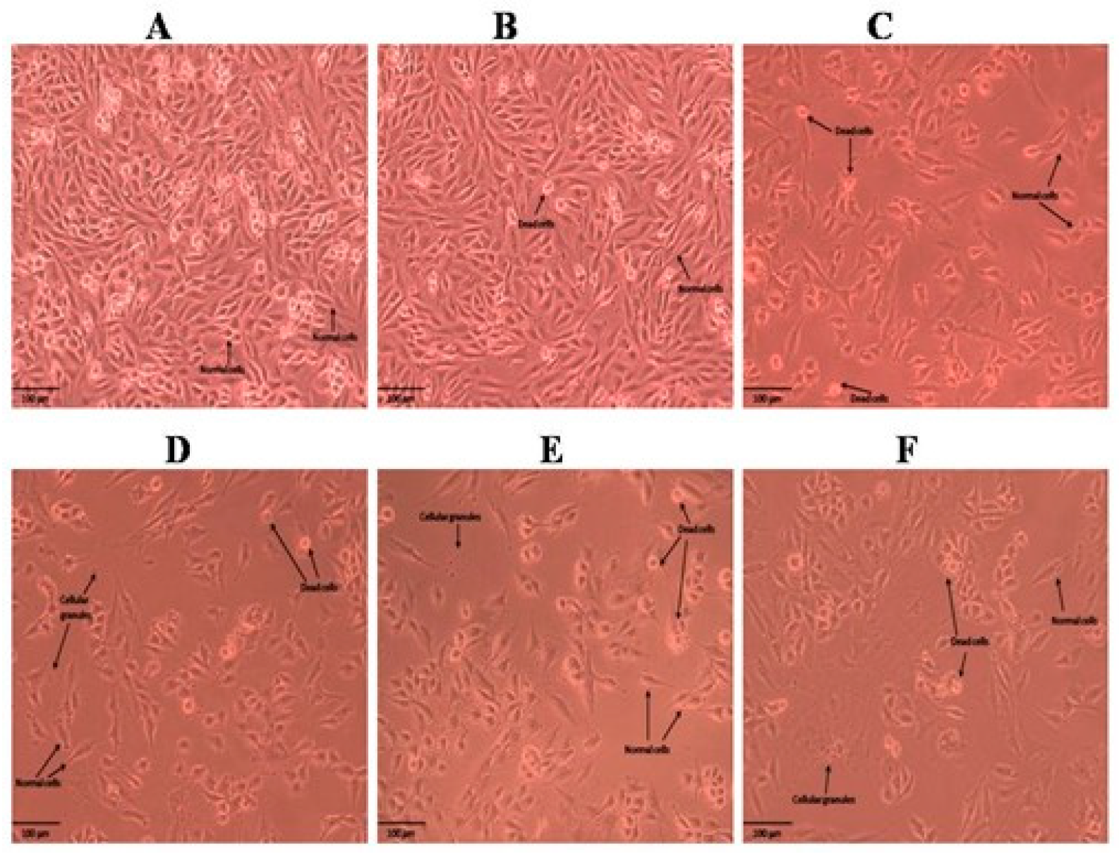 Molecules 28 05108 g003