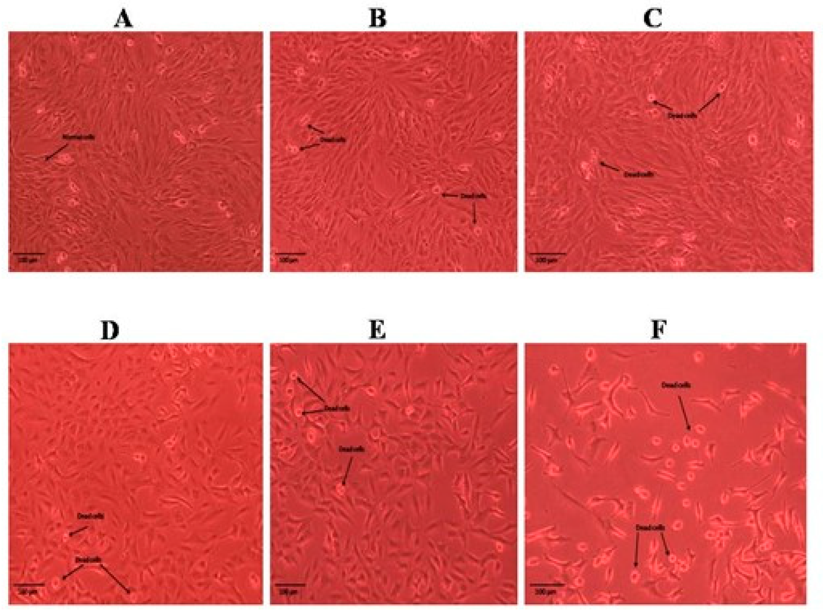 Molecules 28 05108 g005