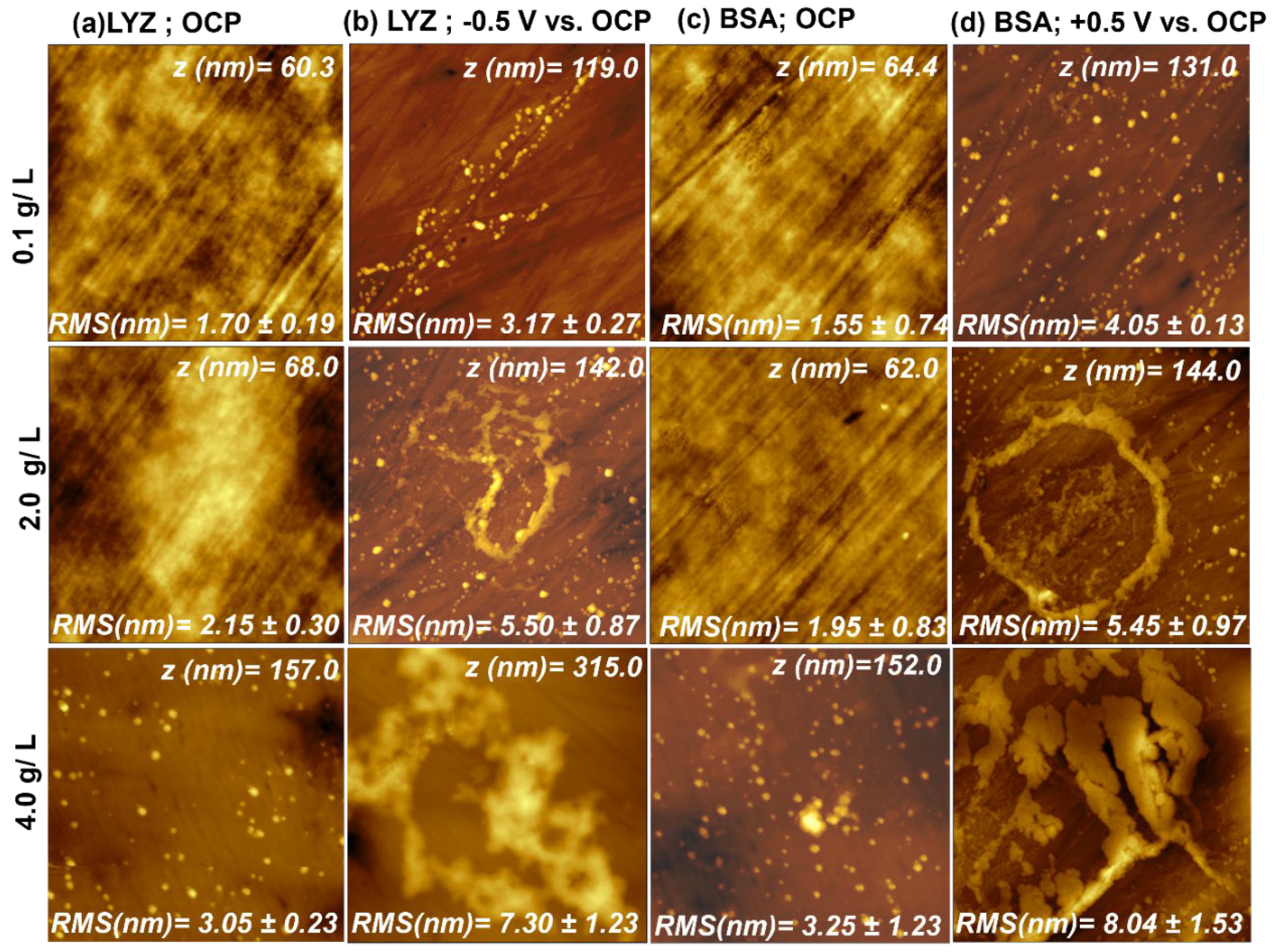 Molecules 28 05109 g001