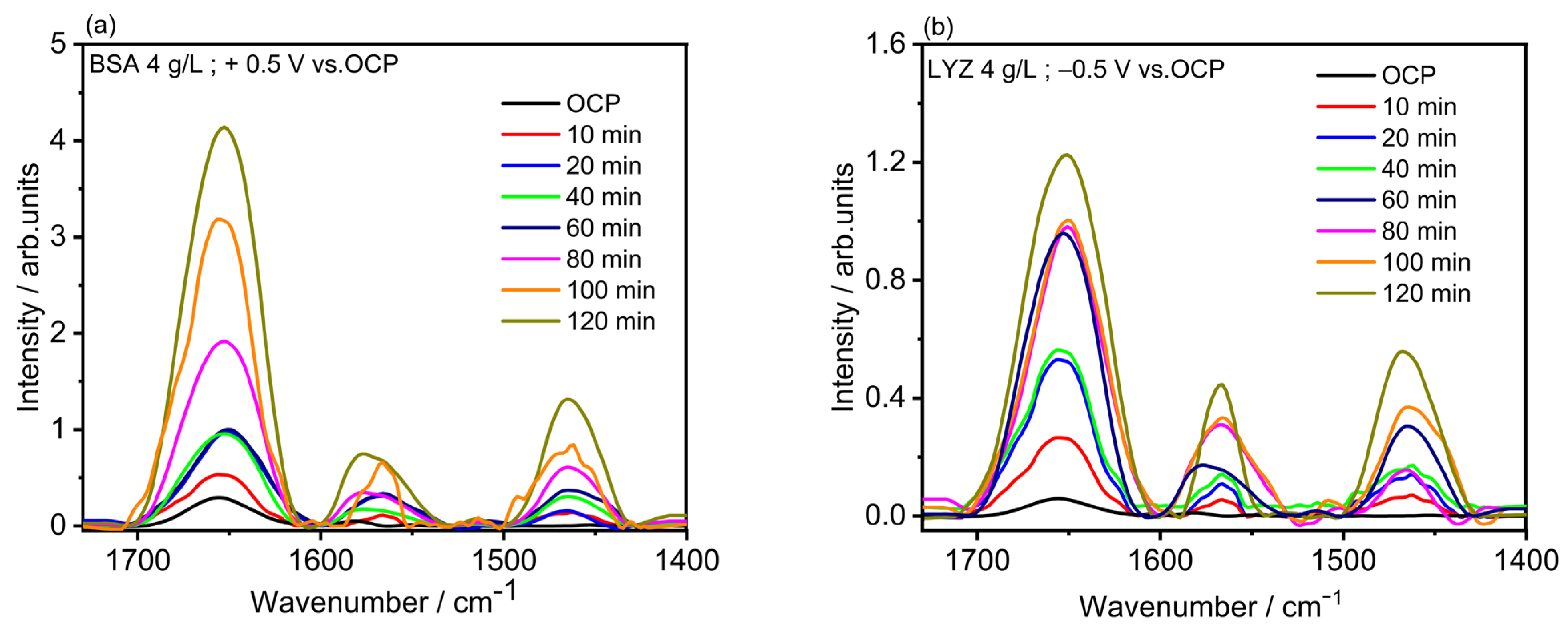 Molecules 28 05109 g005