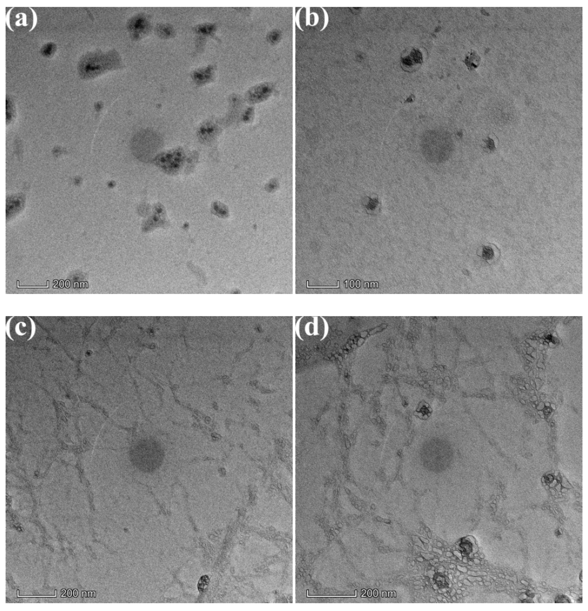 Molecules 28 05110 g009 Molecules 28 05110 g009