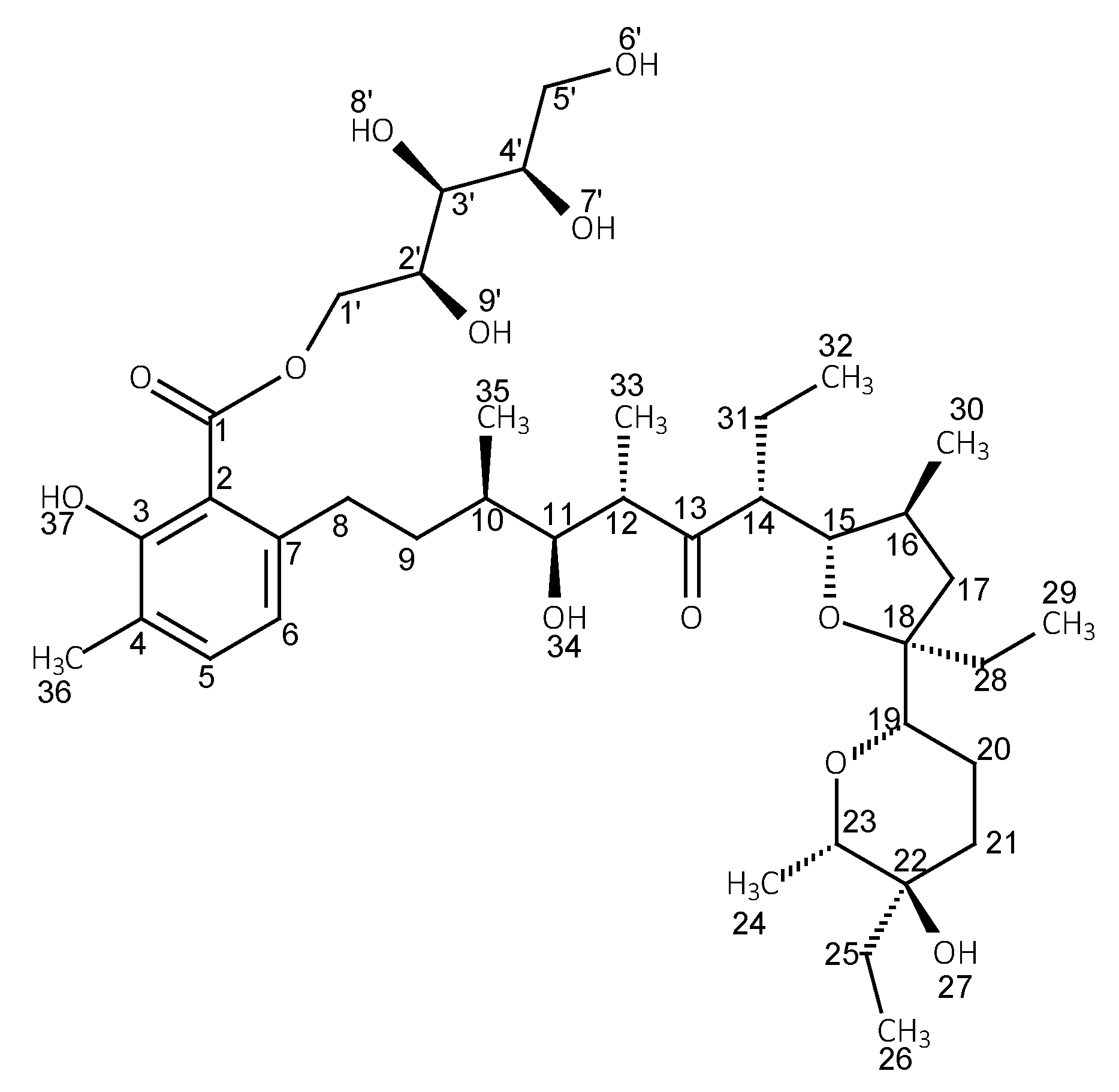 Molecules 28 05114 g003