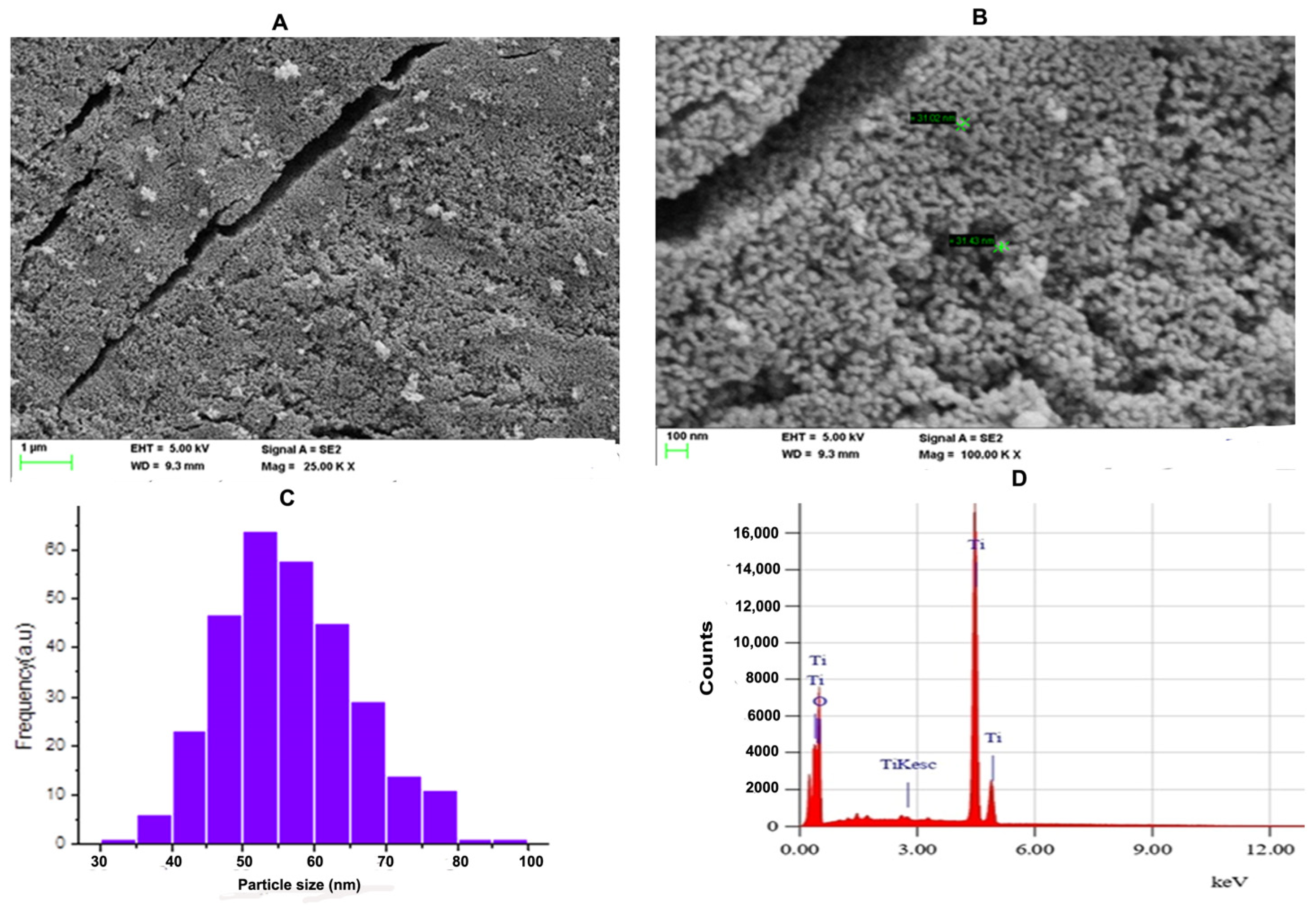Molecules 28 05126 g002