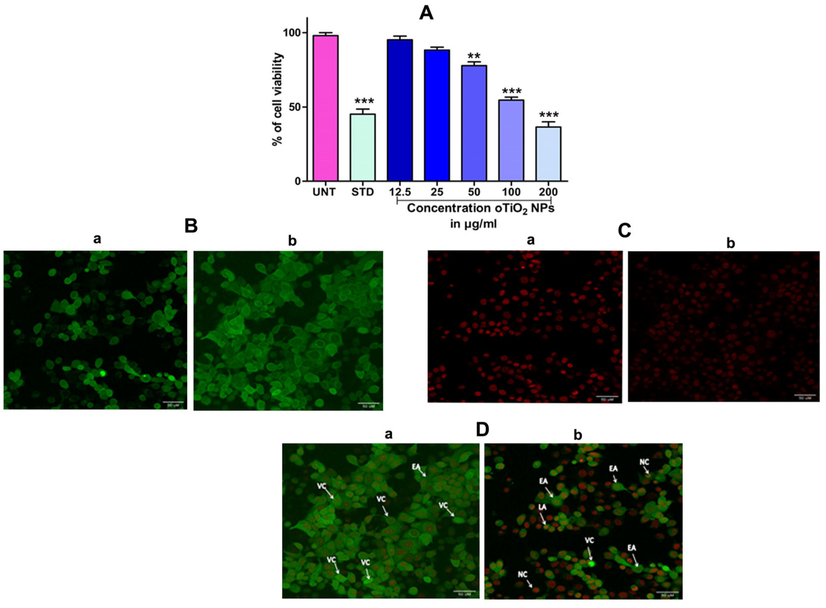 Molecules 28 05126 g008