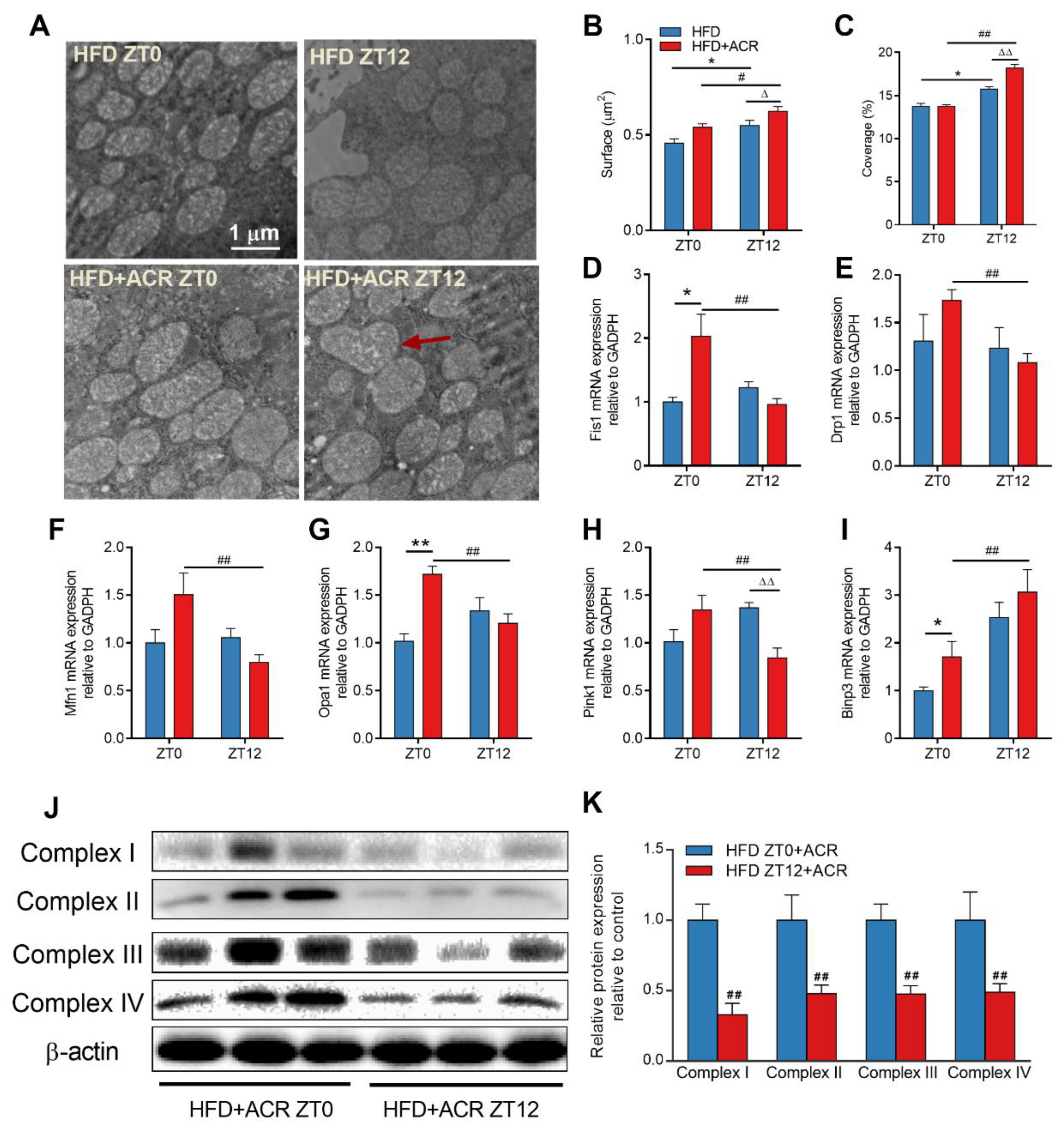 Molecules 28 05132 g003