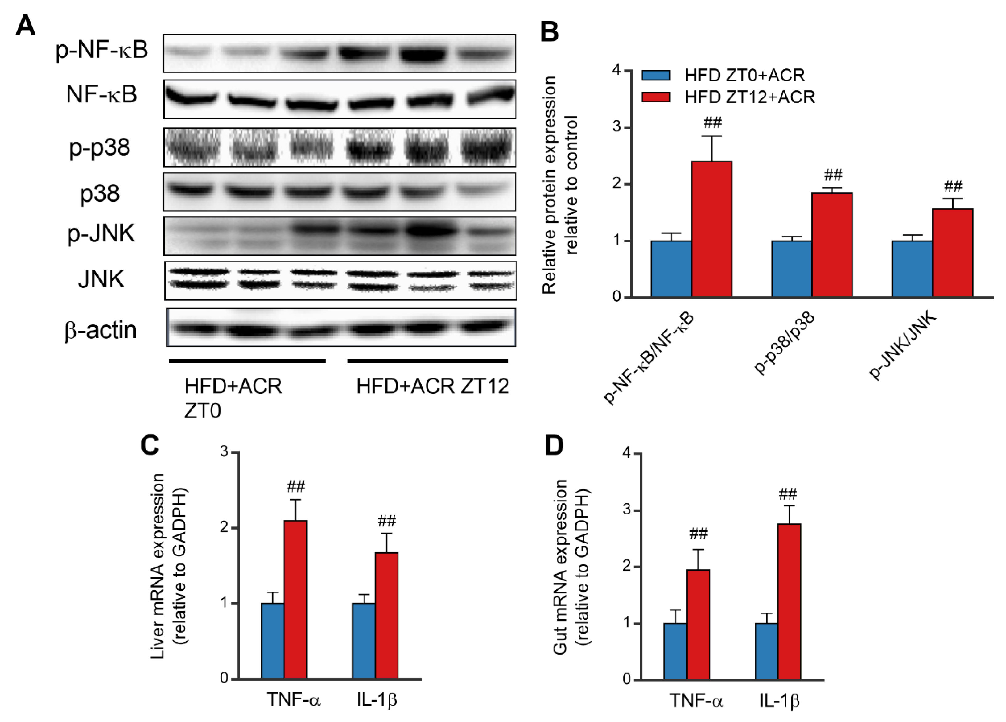 Molecules 28 05132 g007