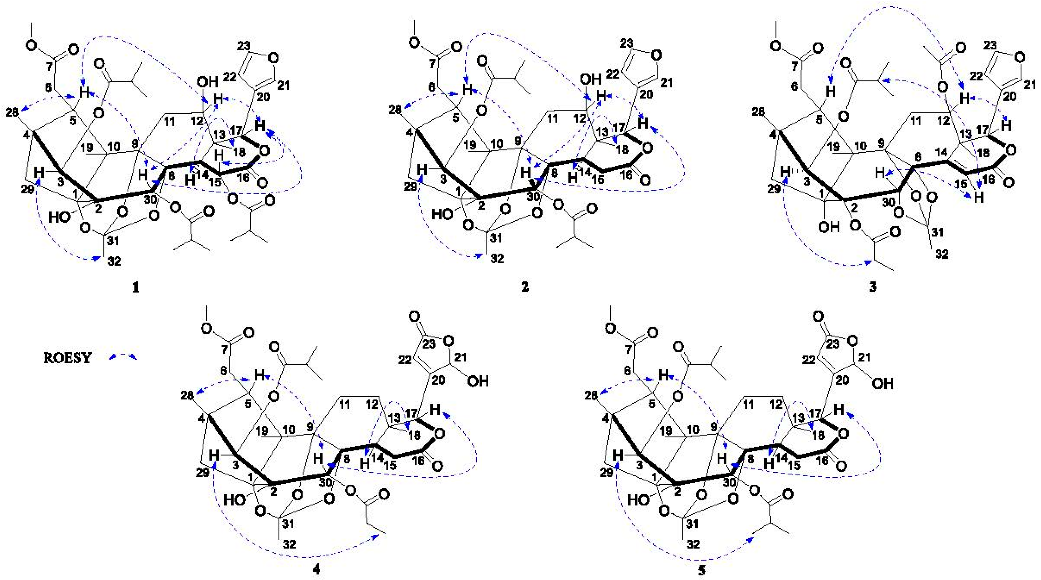 Molecules 28 05136 g003