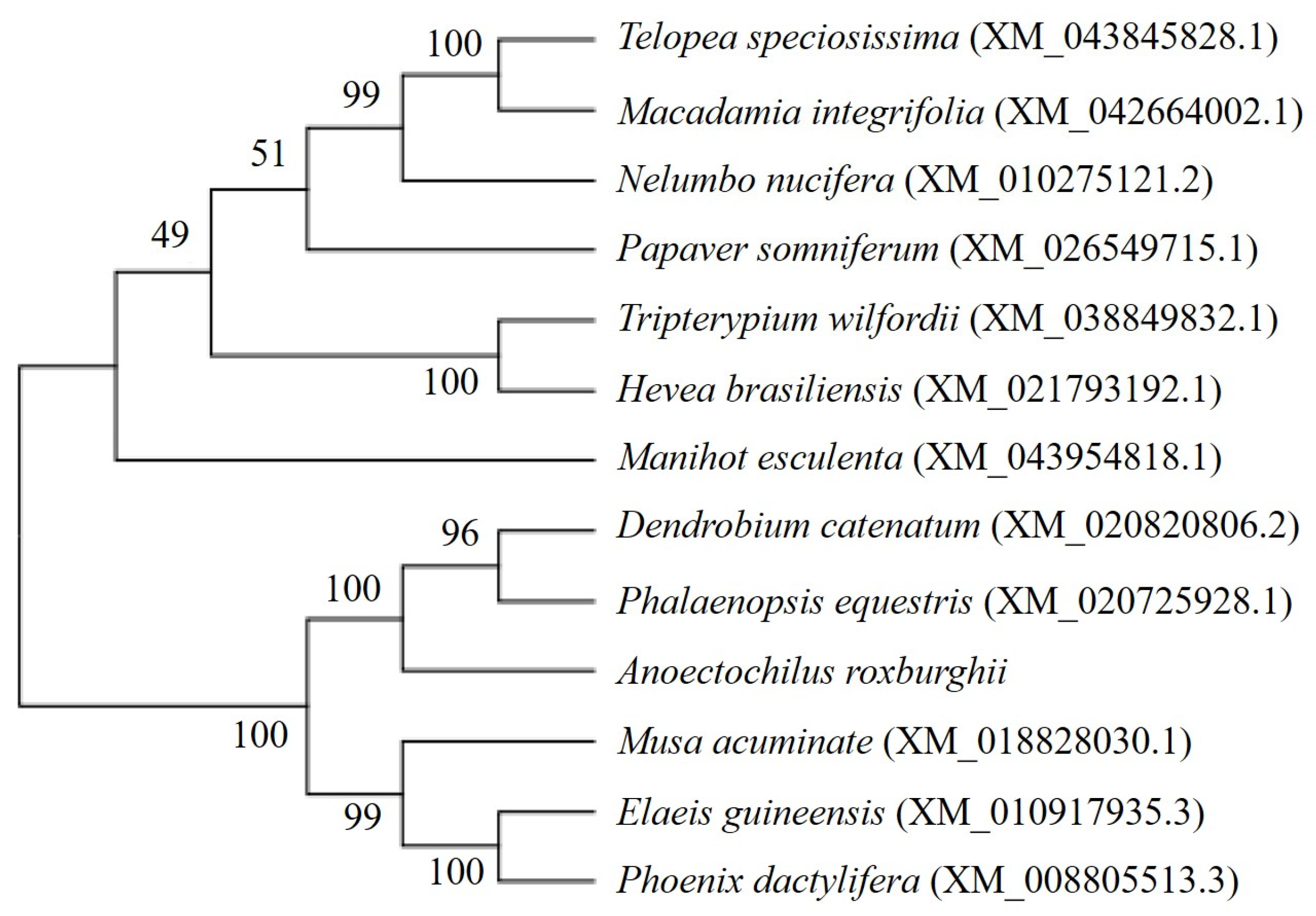 Molecules 28 05139 g002