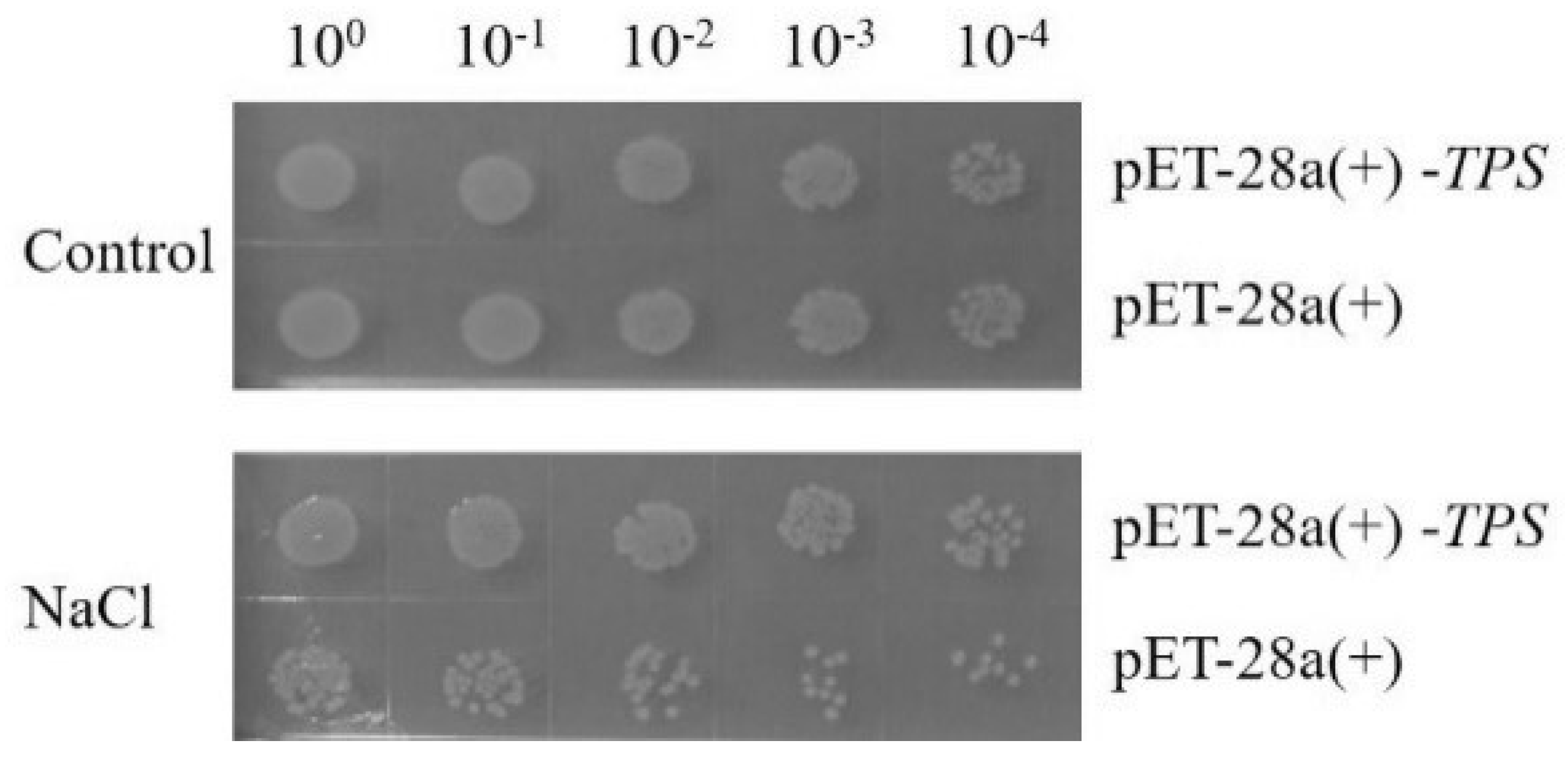 Molecules 28 05139 g003